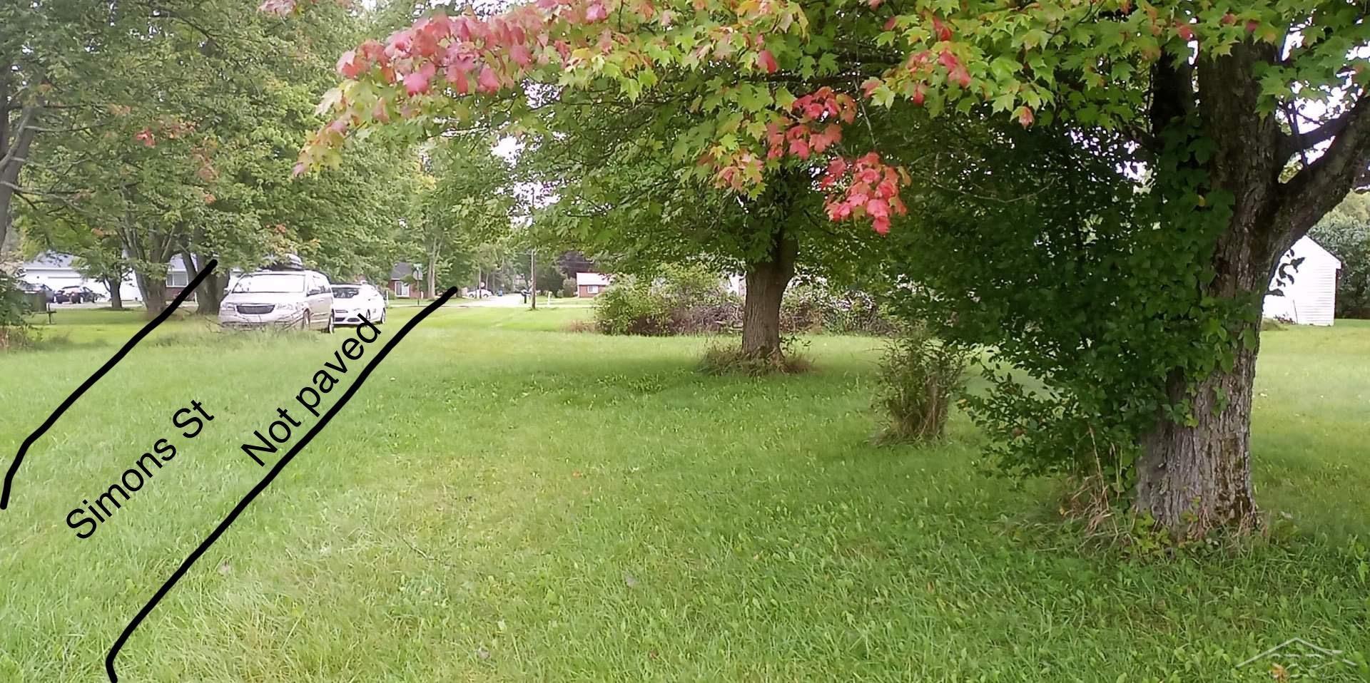 0 Simons Street Coleman City MI 48618