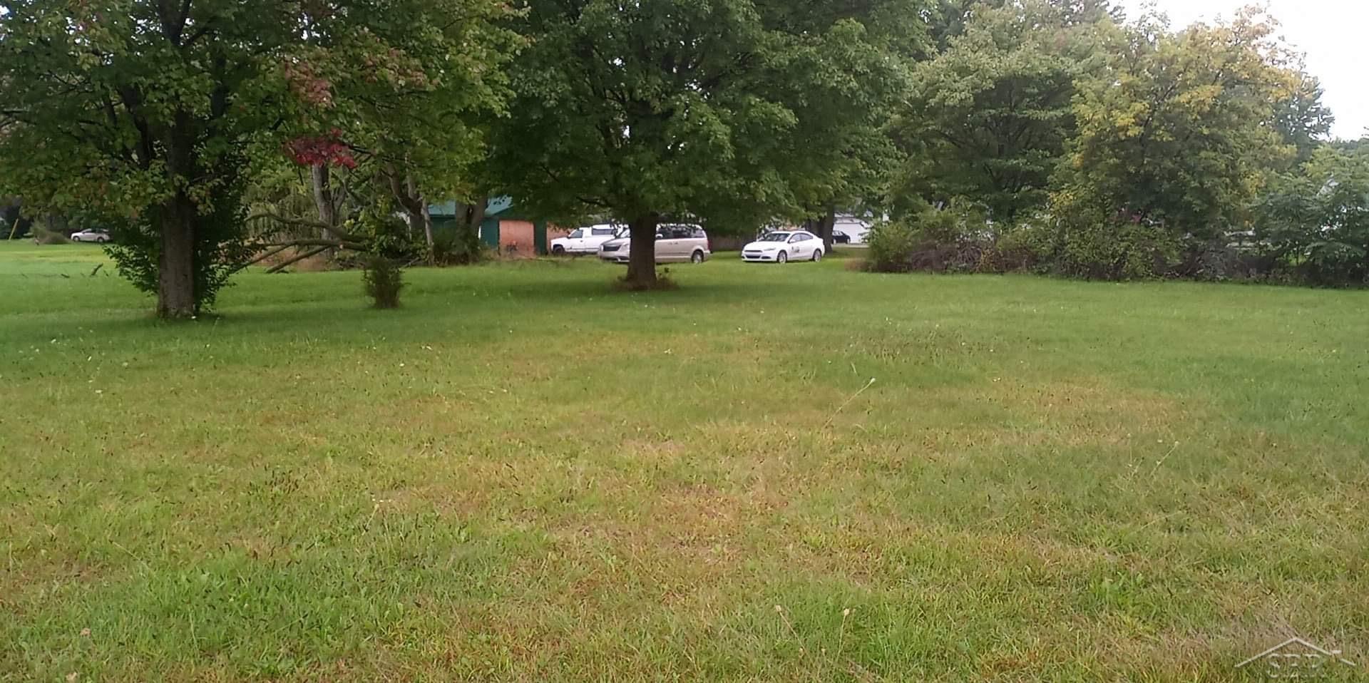 0 Simons Street Coleman City MI 48618
