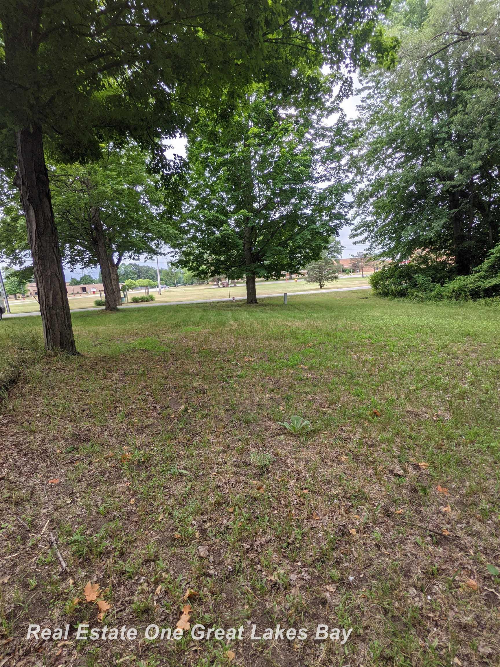 W Walnut Street St. Charles Township MI 48655