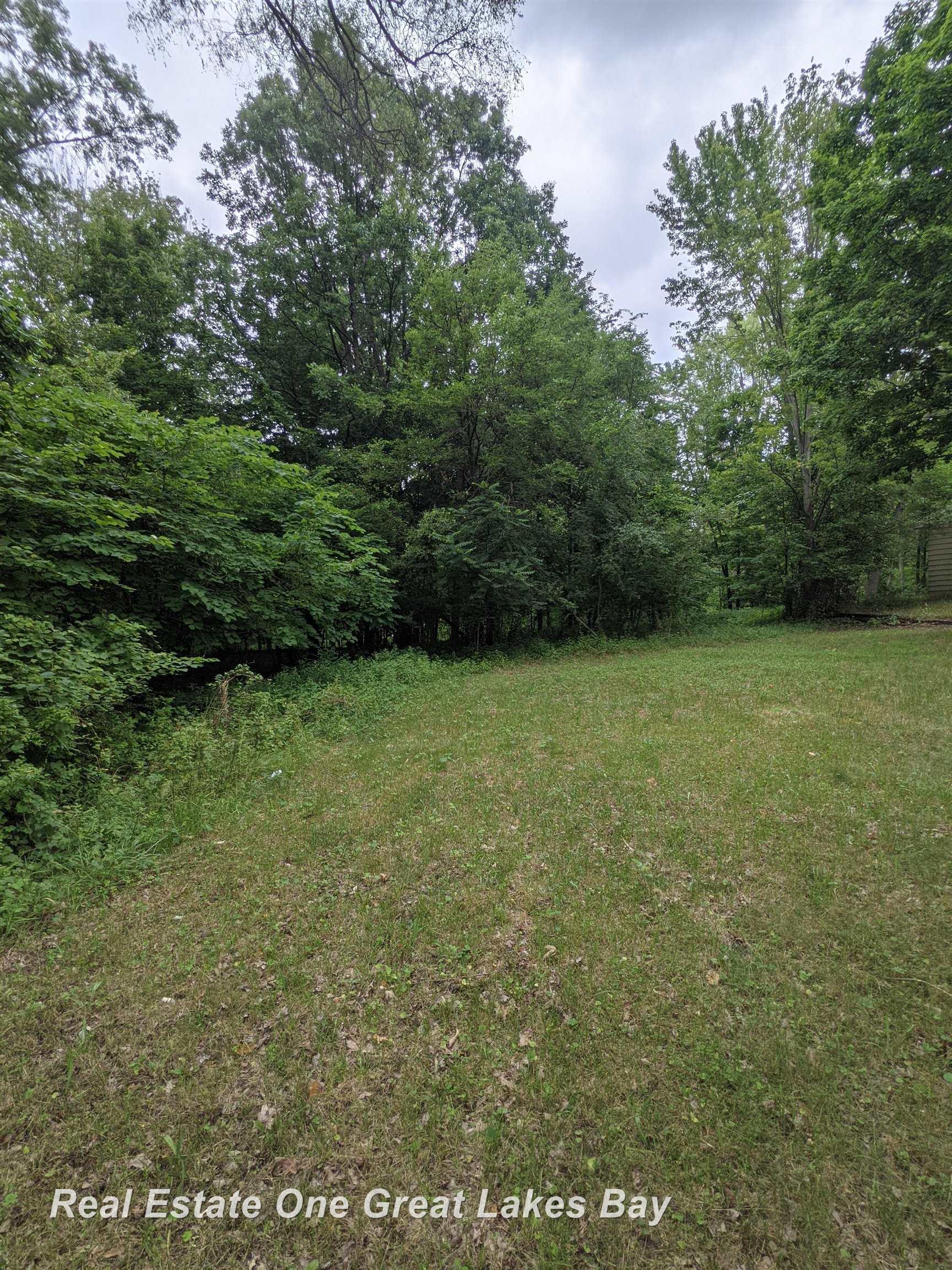 W Walnut Street St. Charles Township MI 48655