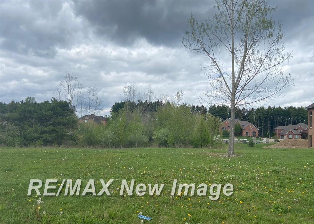 V/l Rivershyre Parkway Davison Township MI 48423