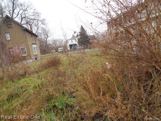 568 E Bethune Street Detroit City MI 48202
