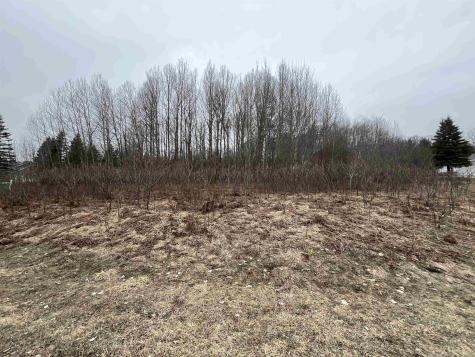 Lot 19 Crestview Drive Clam Lake Township MI 49601