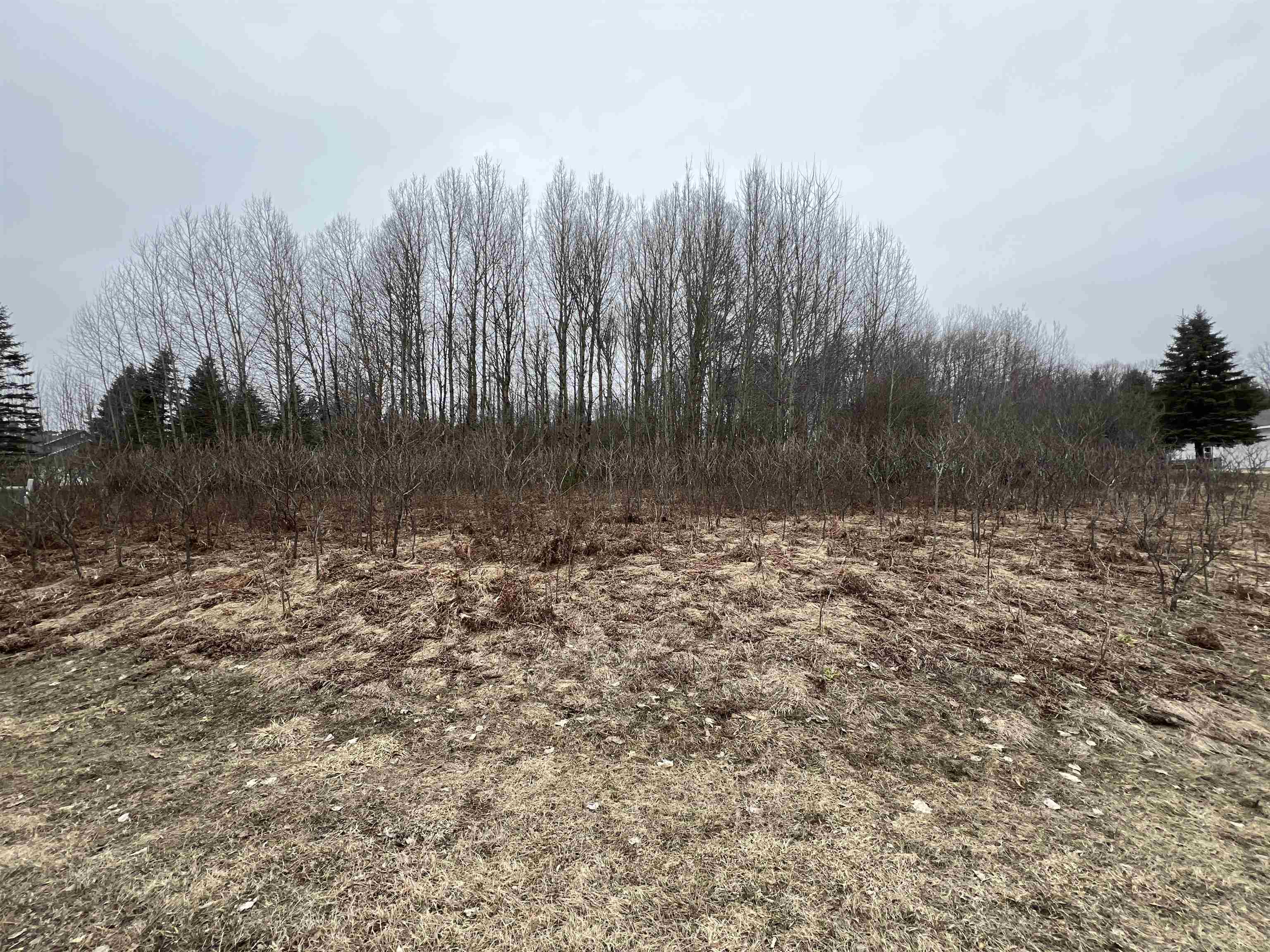 Lot 19 Crestview Drive Clam Lake Township MI 49601