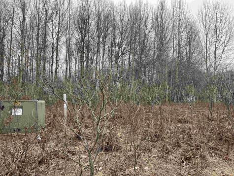 Lot 19 Crestview Drive Clam Lake Township MI 49601
