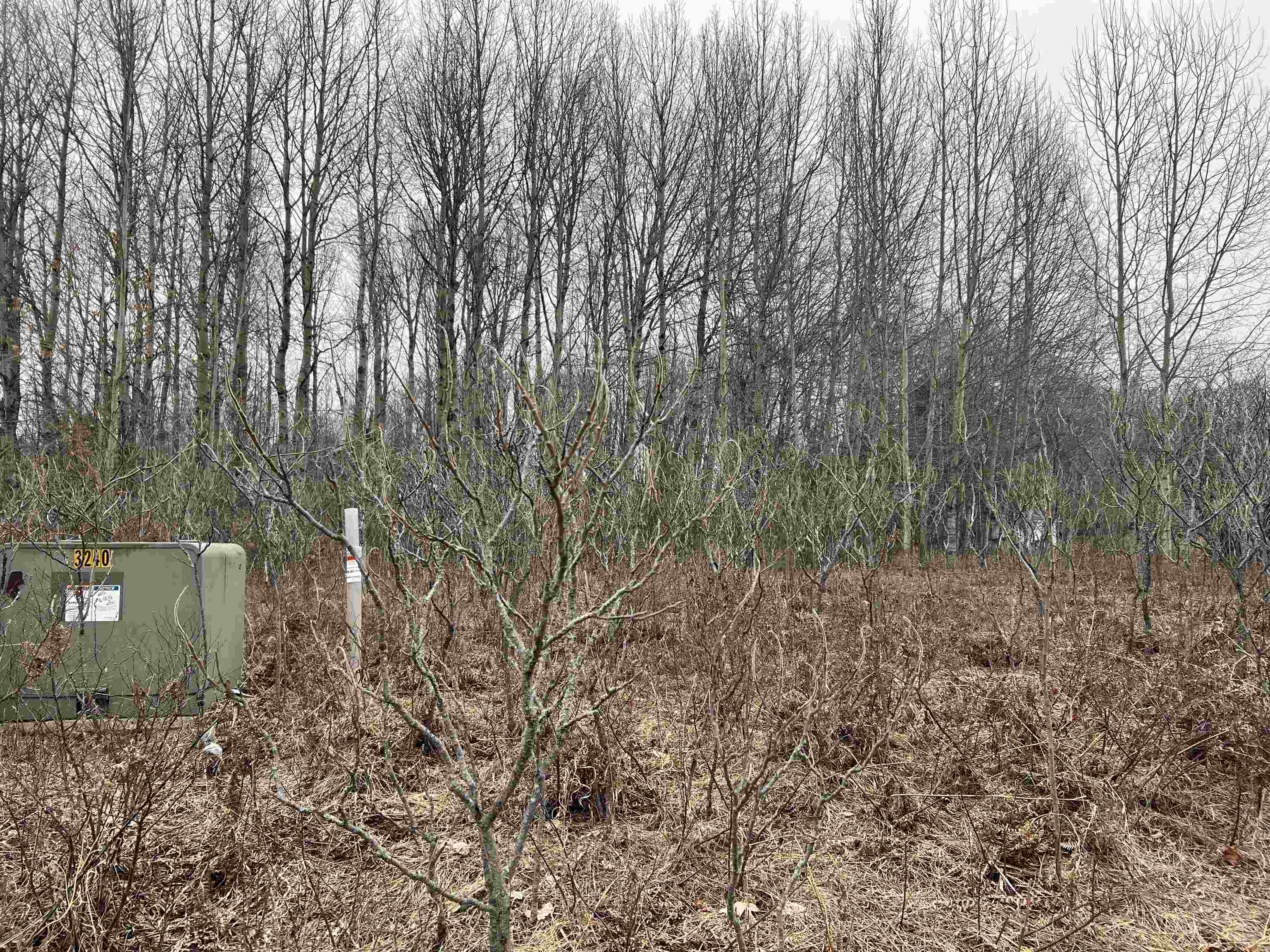 Lot 19 Crestview Drive Clam Lake Township MI 49601