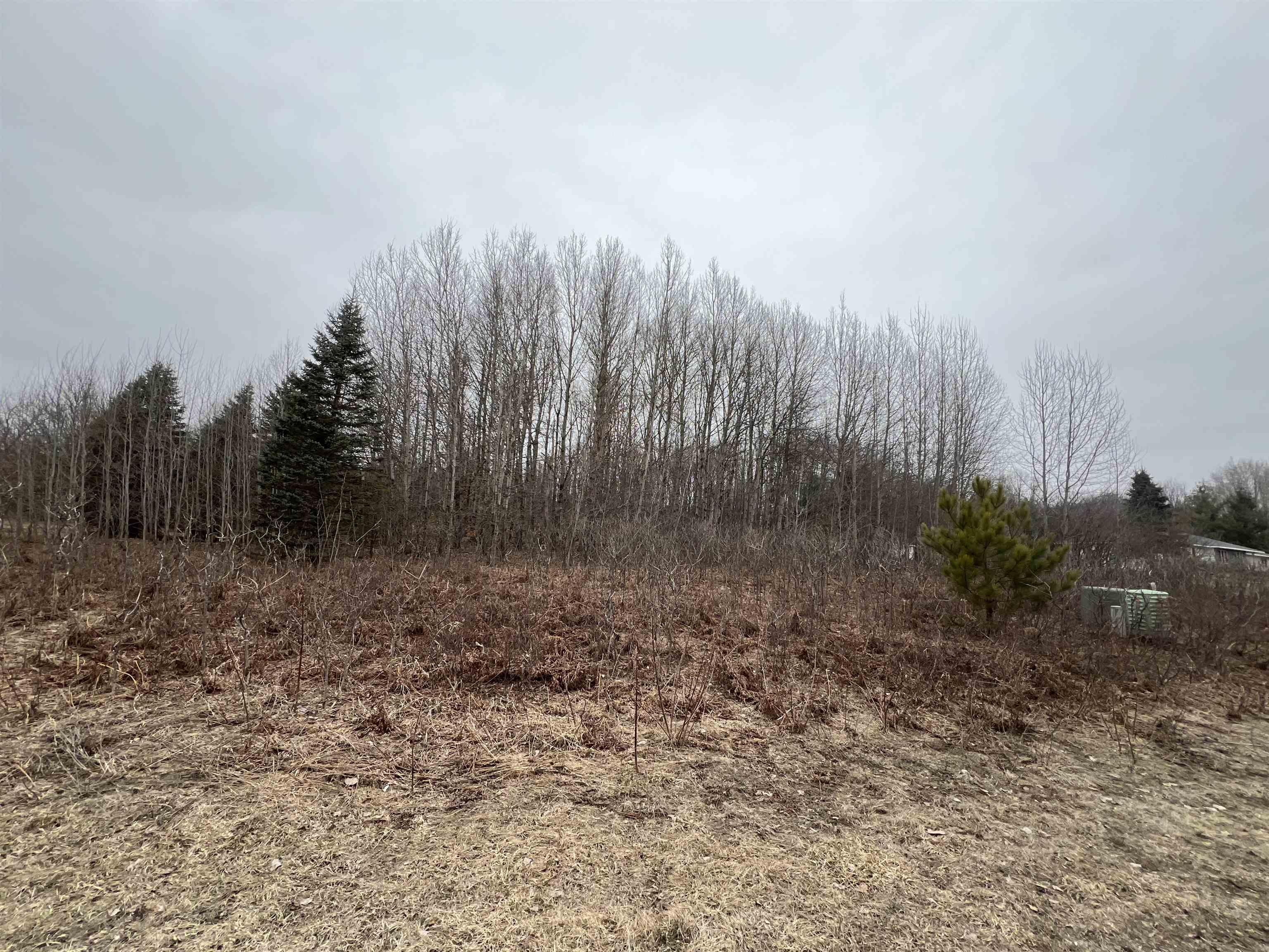Lot 19 Crestview Drive Clam Lake Township MI 49601