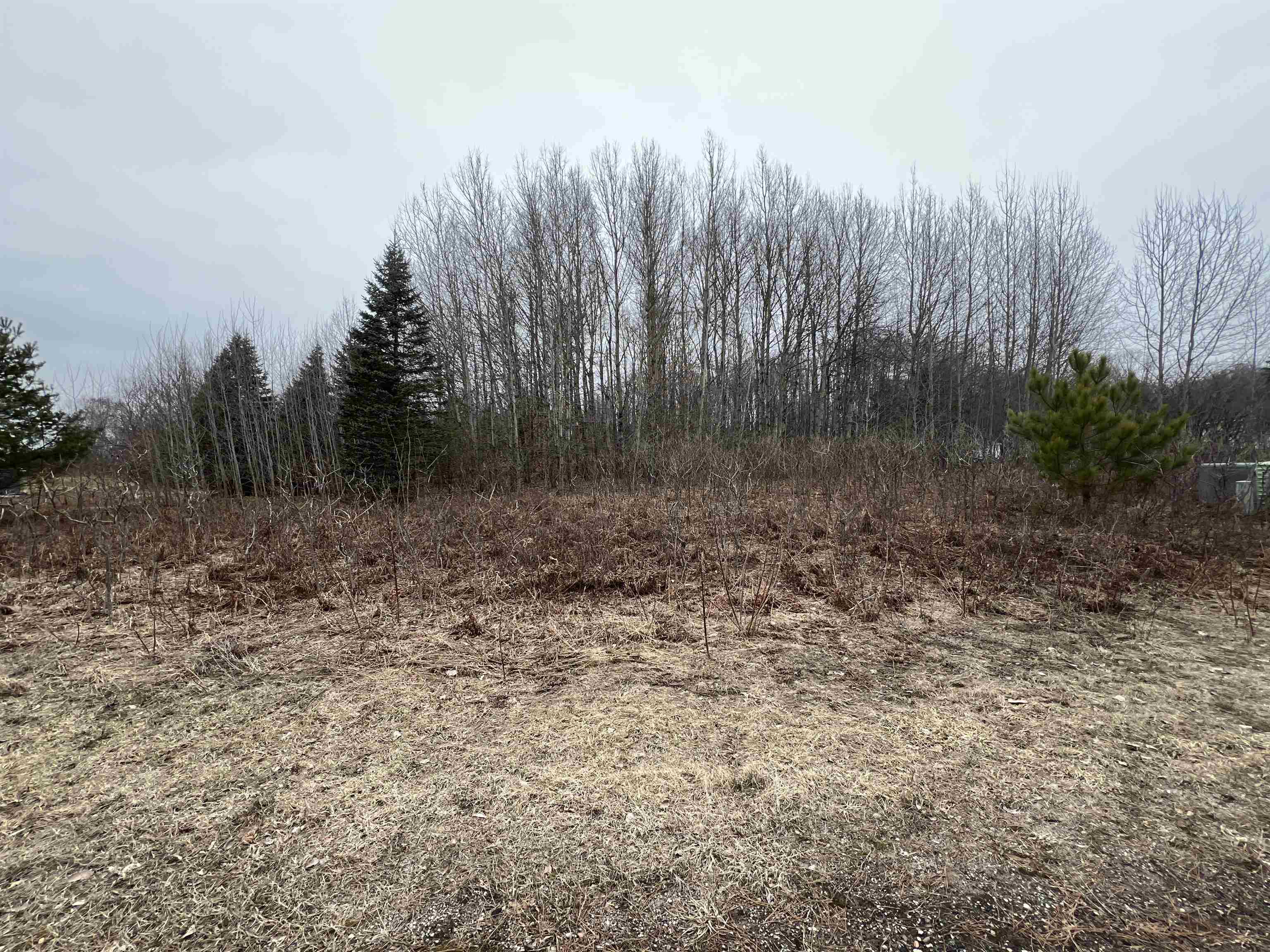 Lot 19 Crestview Drive Clam Lake Township MI 49601