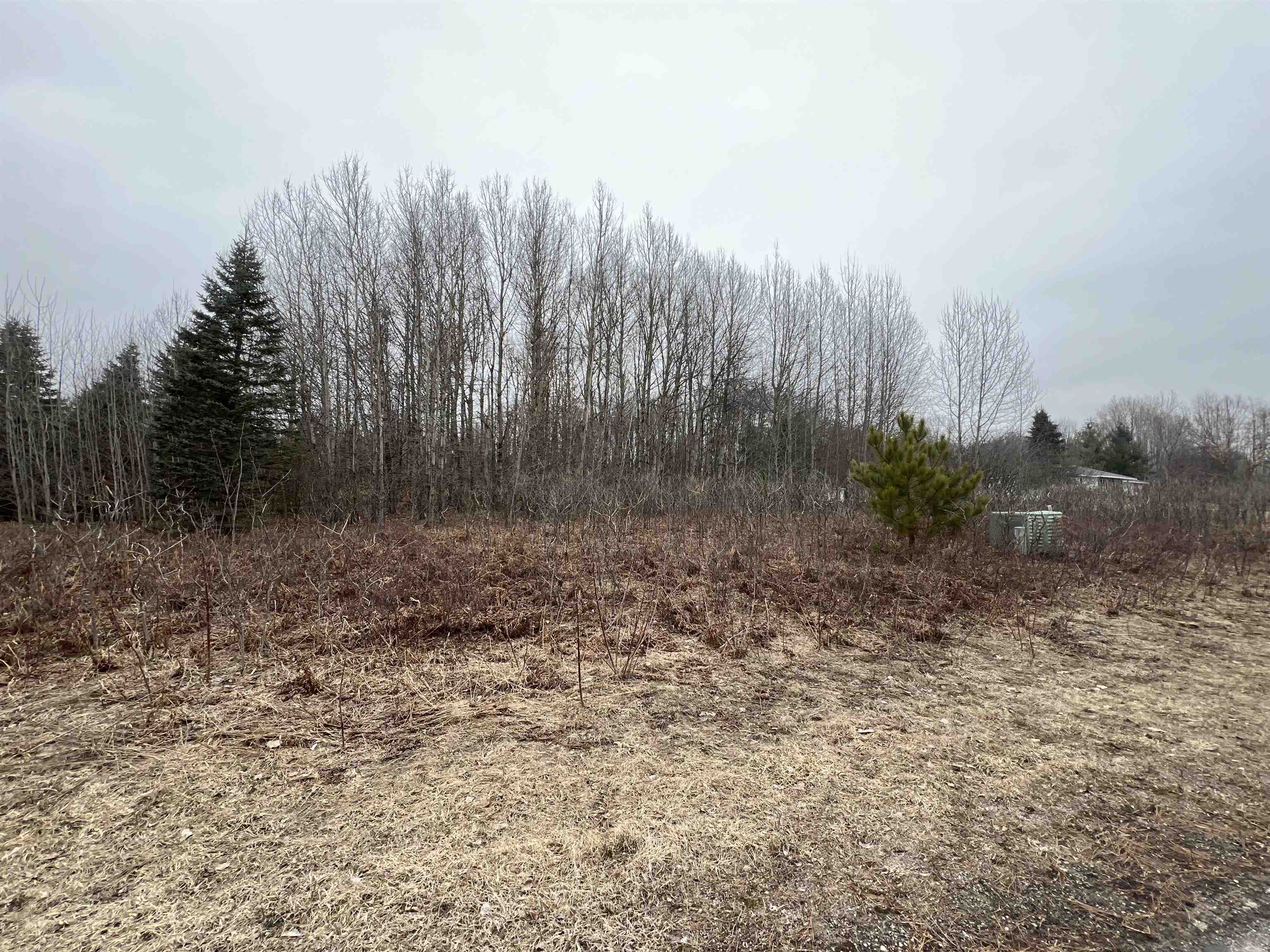 Lot 19 Crestview Drive Clam Lake Township MI 49601