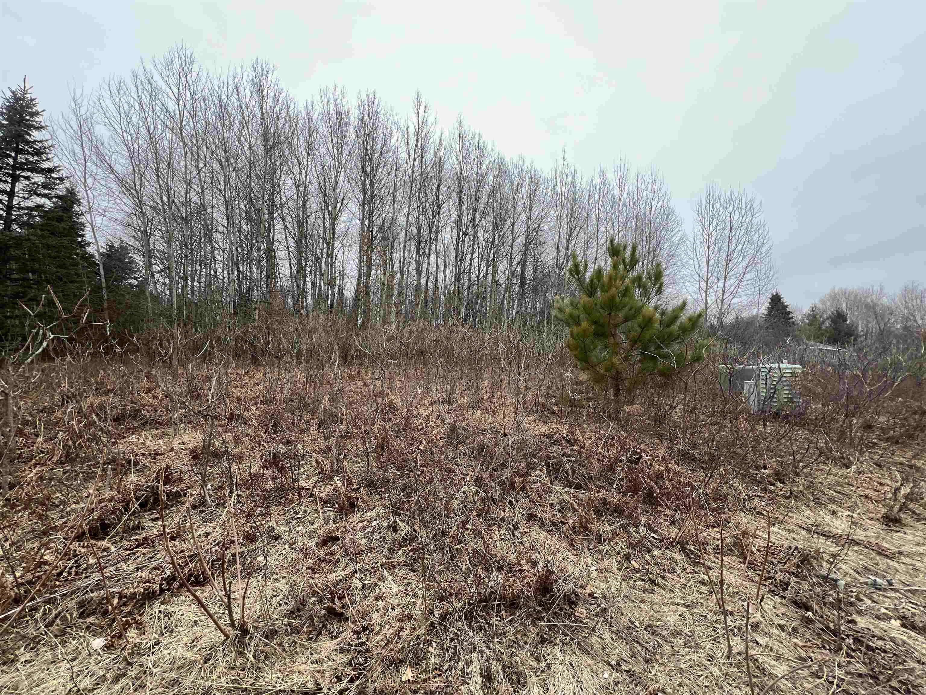 Lot 19 Crestview Drive Clam Lake Township MI 49601