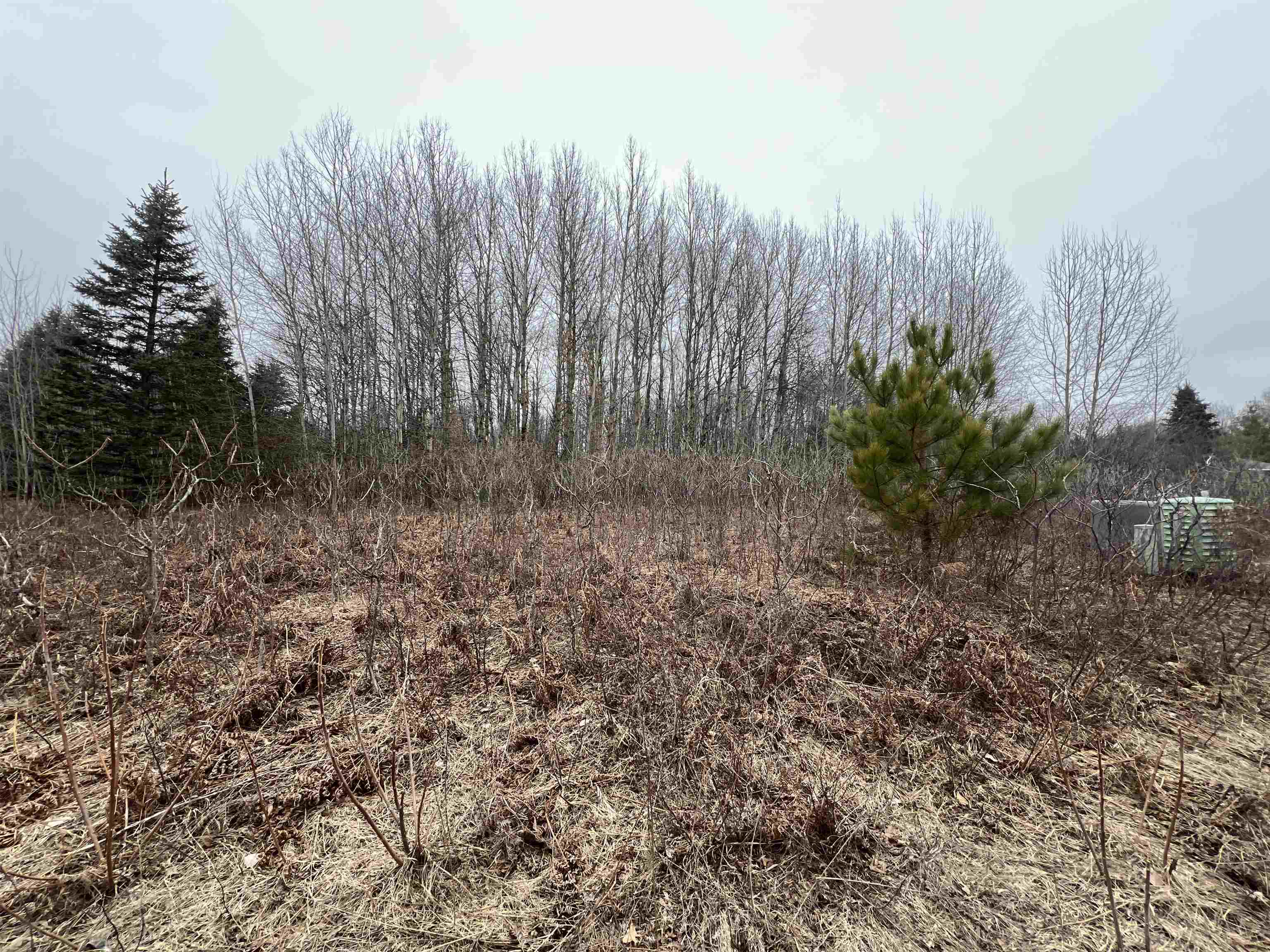 Lot 19 Crestview Drive Clam Lake Township MI 49601