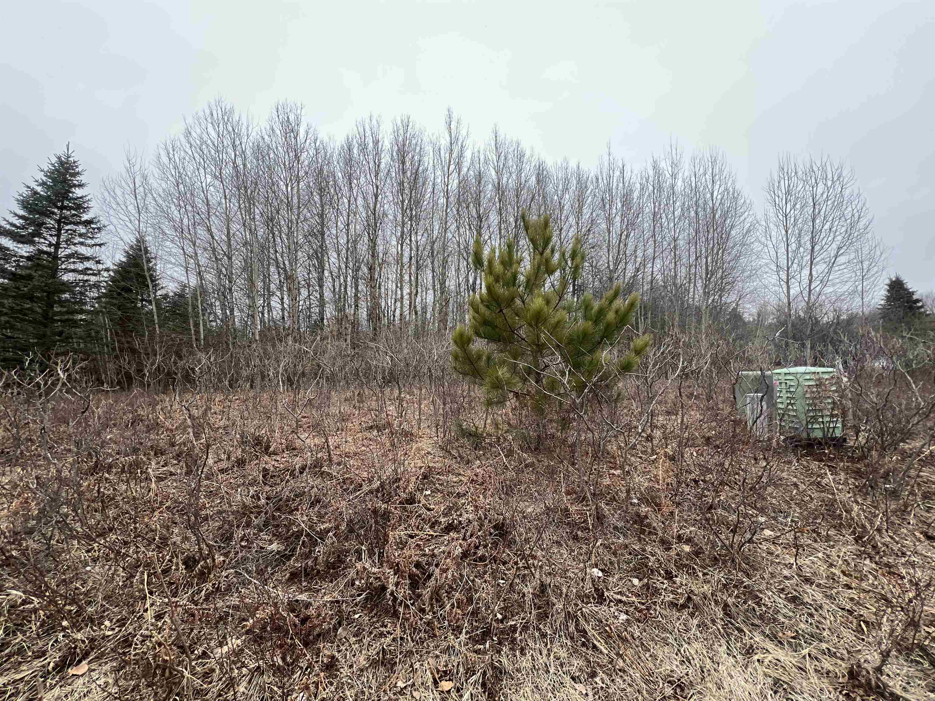 Lot 19 Crestview Drive Clam Lake Township MI 49601