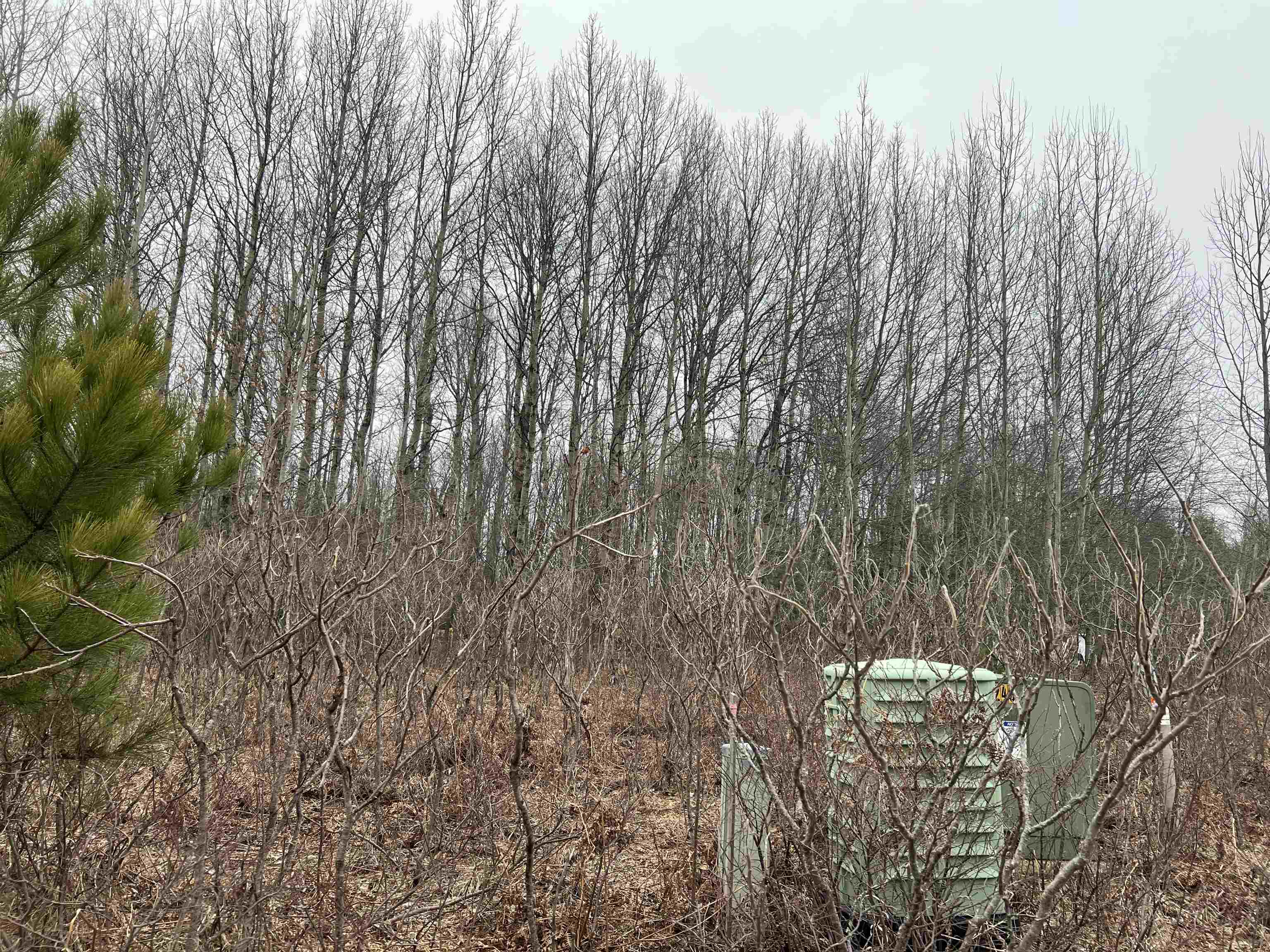 Lot 19 Crestview Drive Clam Lake Township MI 49601