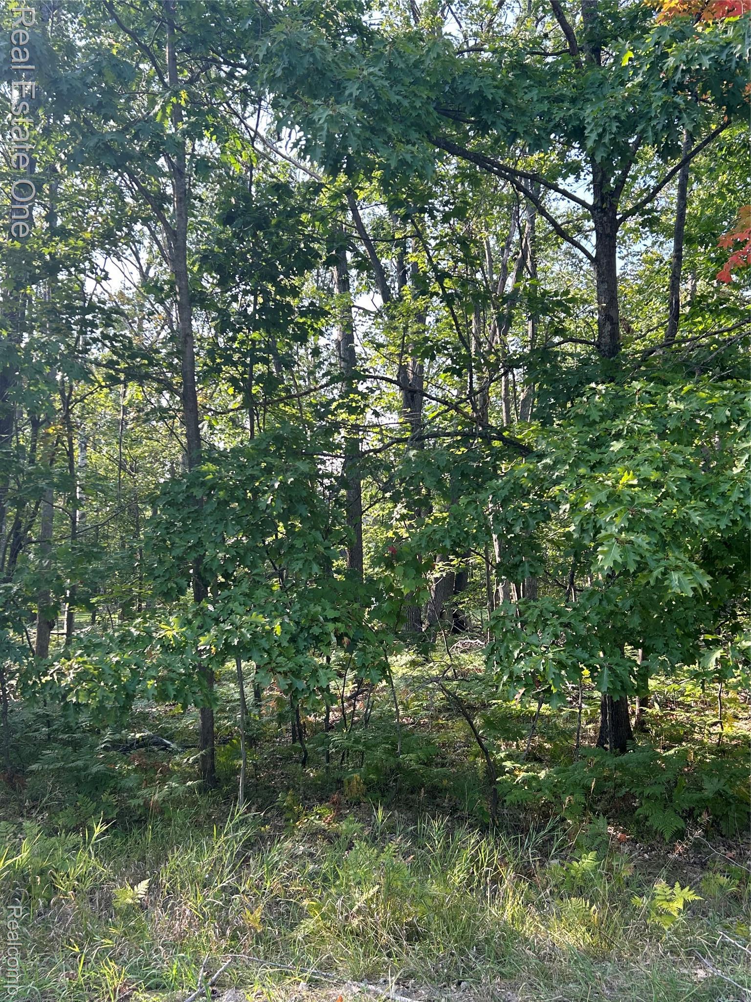 Lots 1797 And 1798 Sandpiper Trail Otsego Lake Township MI 48735