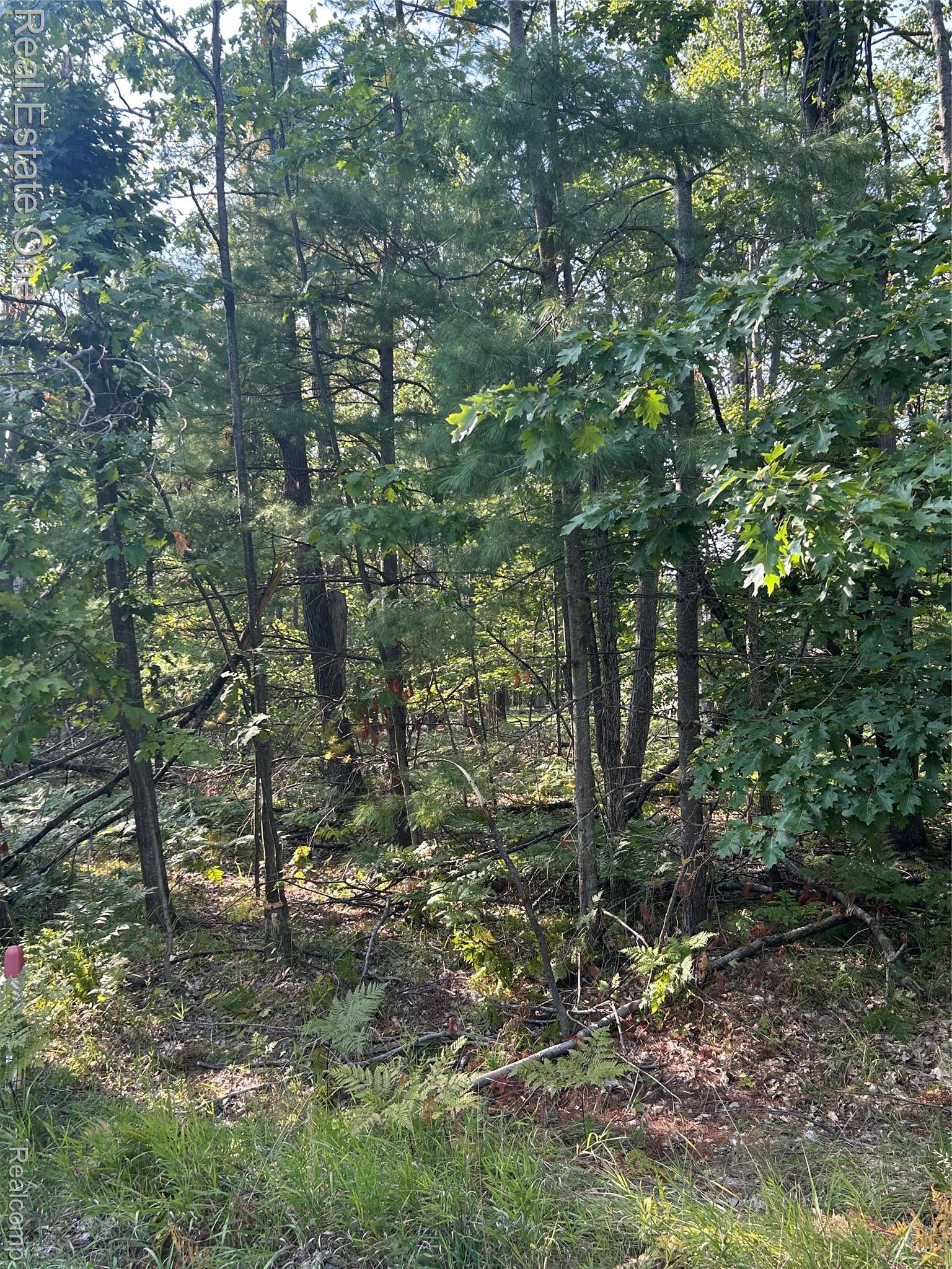 Lots 1797 And 1798 Sandpiper Trail Otsego Lake Township MI 48735