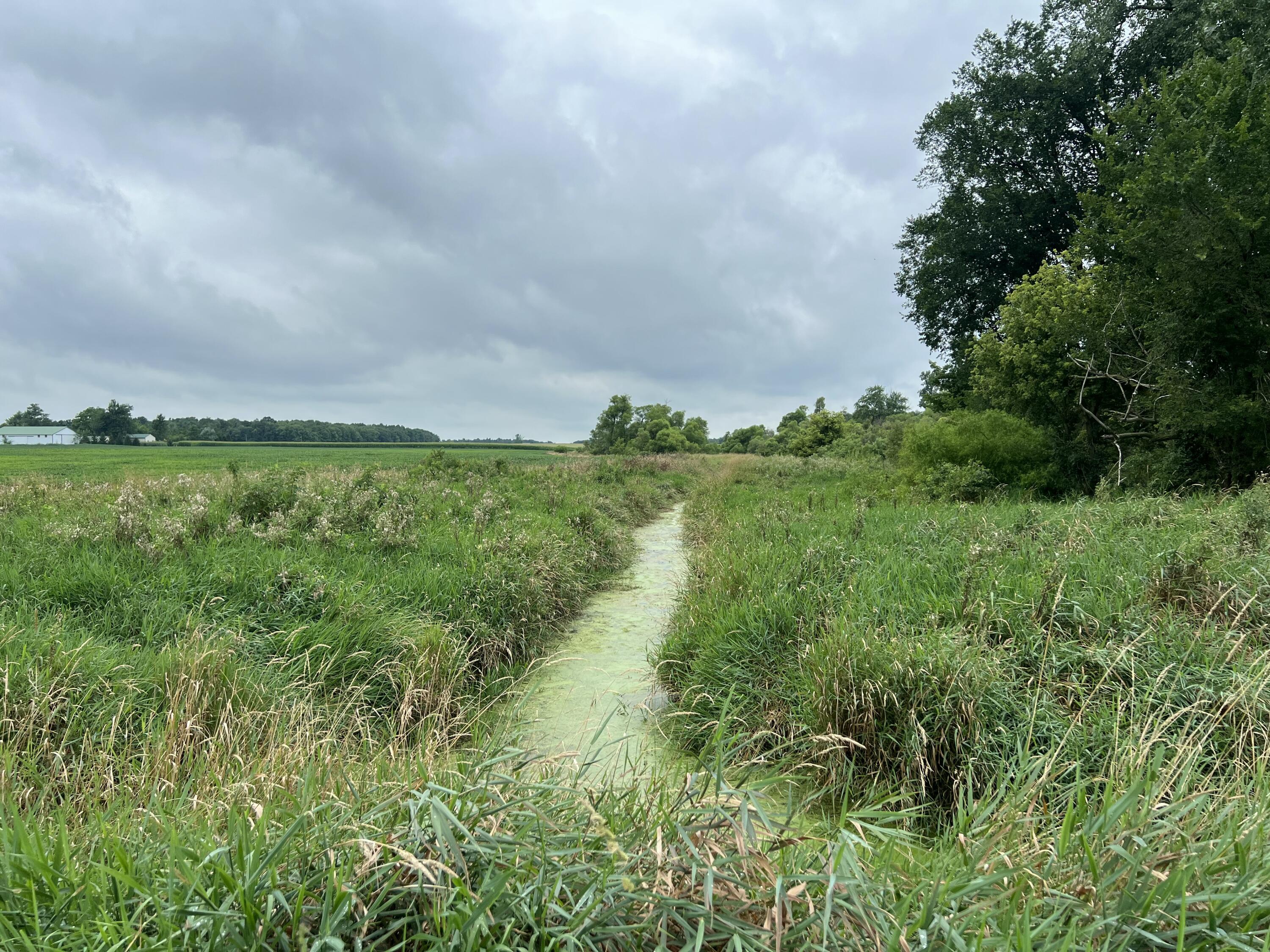 10800 South Road Wright Township MI 49288