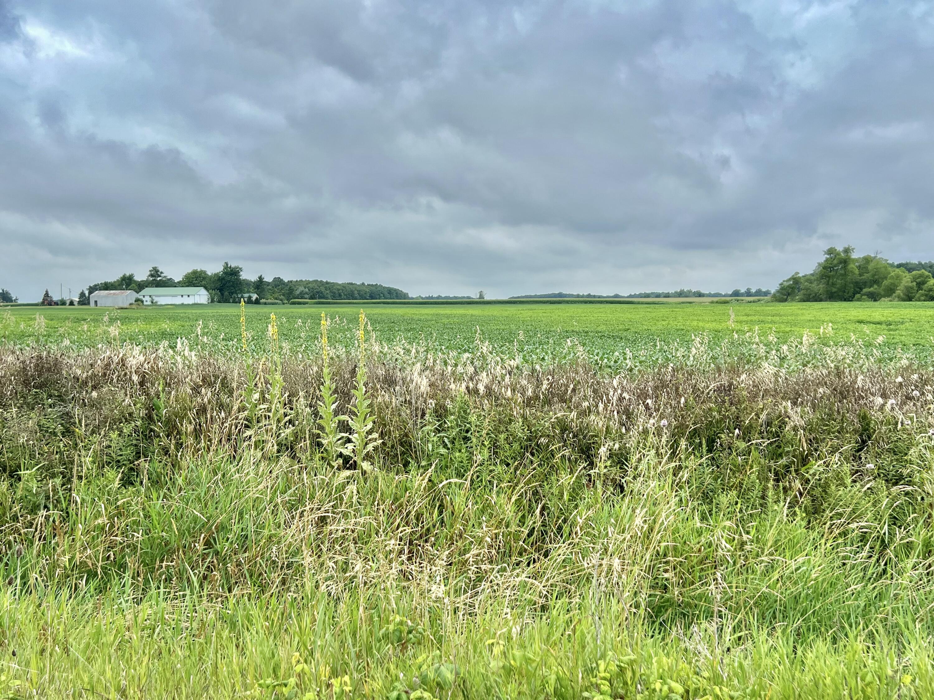 10800 South Road Wright Township MI 49288