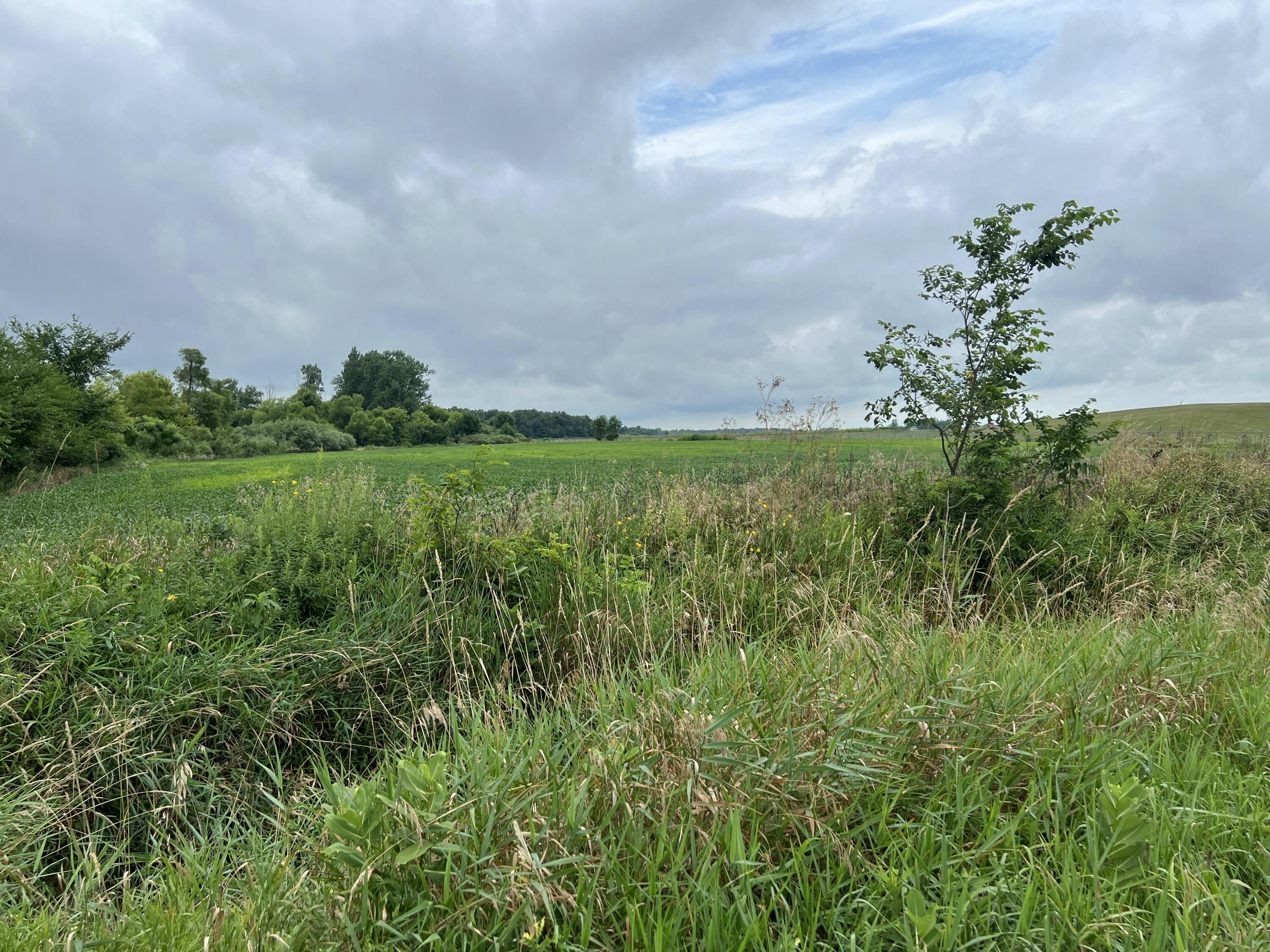 10800 South Road Wright Township MI 49288