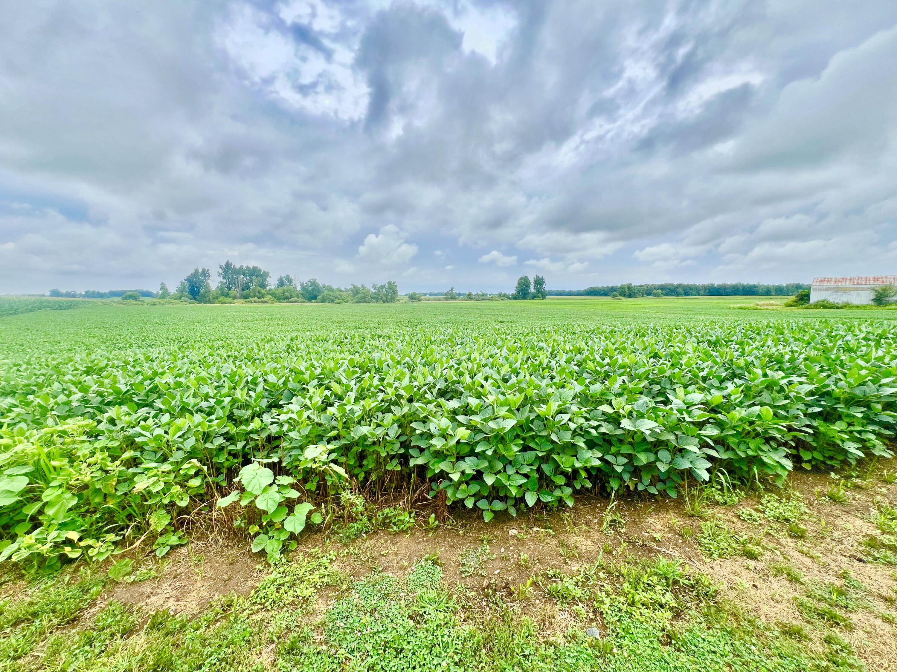 10800 South Road Wright Township MI 49288