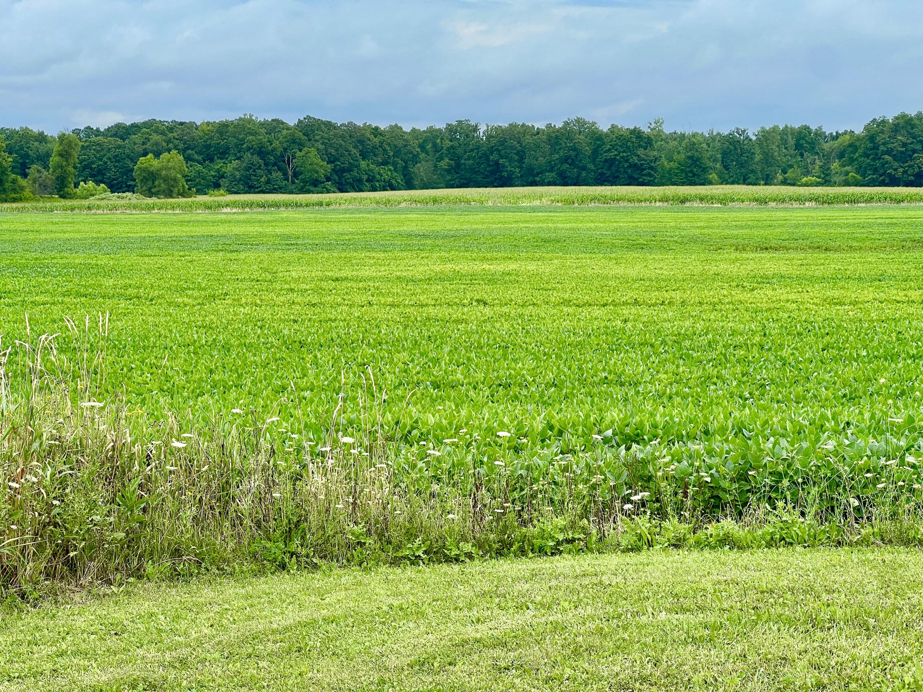 10800 South Road Wright Township MI 49288