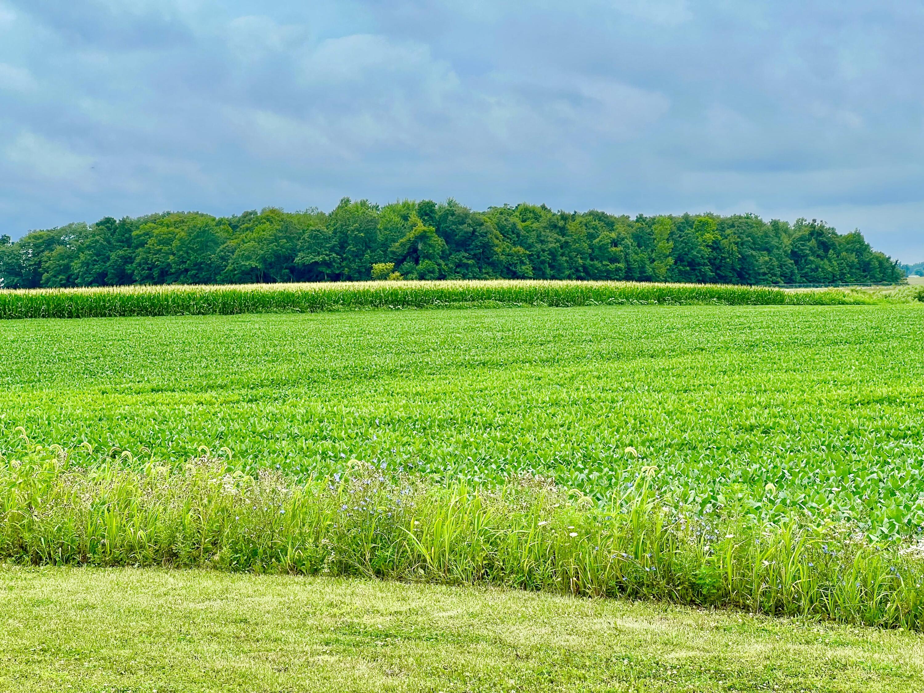10800 South Road Wright Township MI 49288