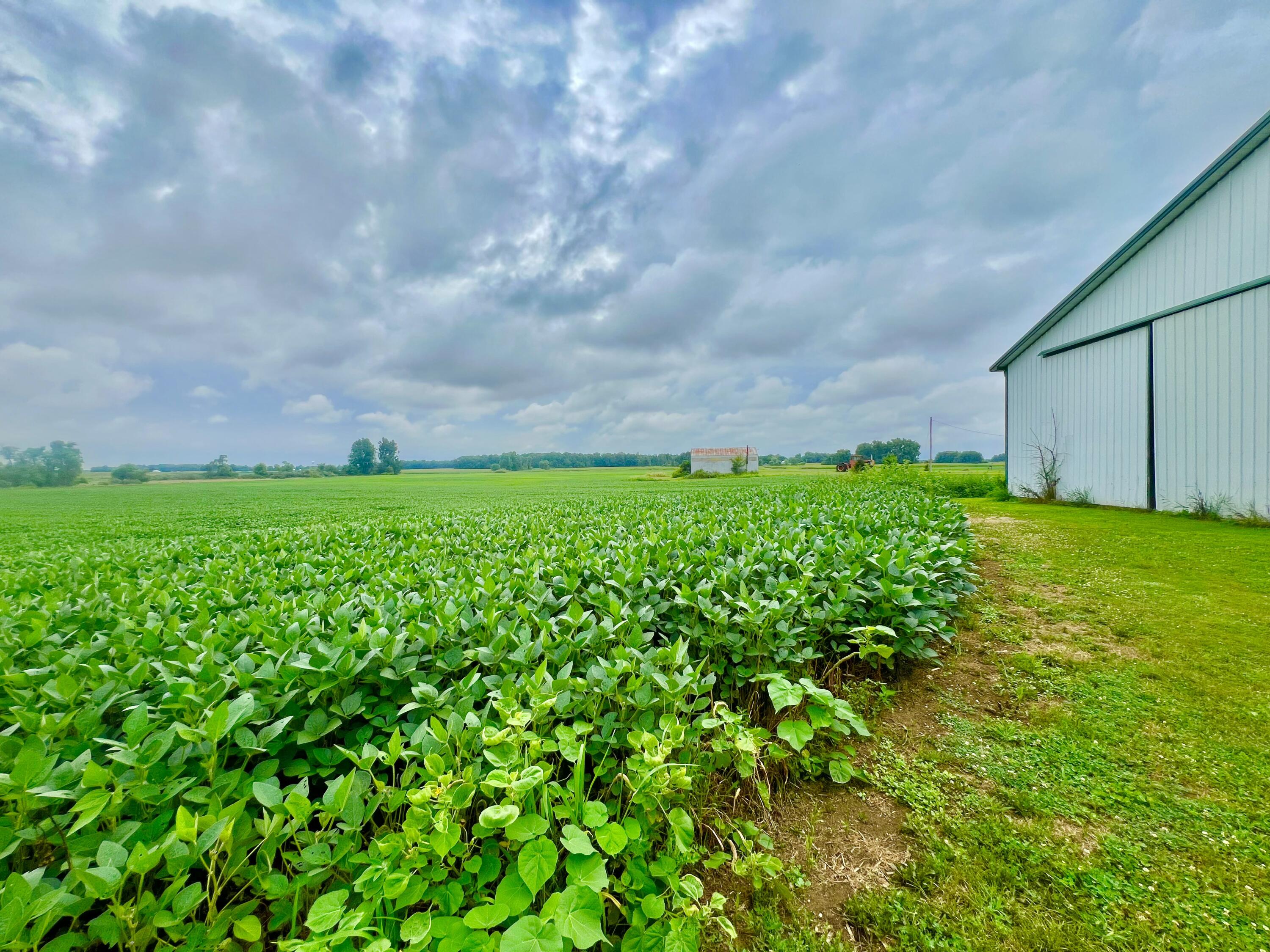 10800 South Road Wright Township MI 49288