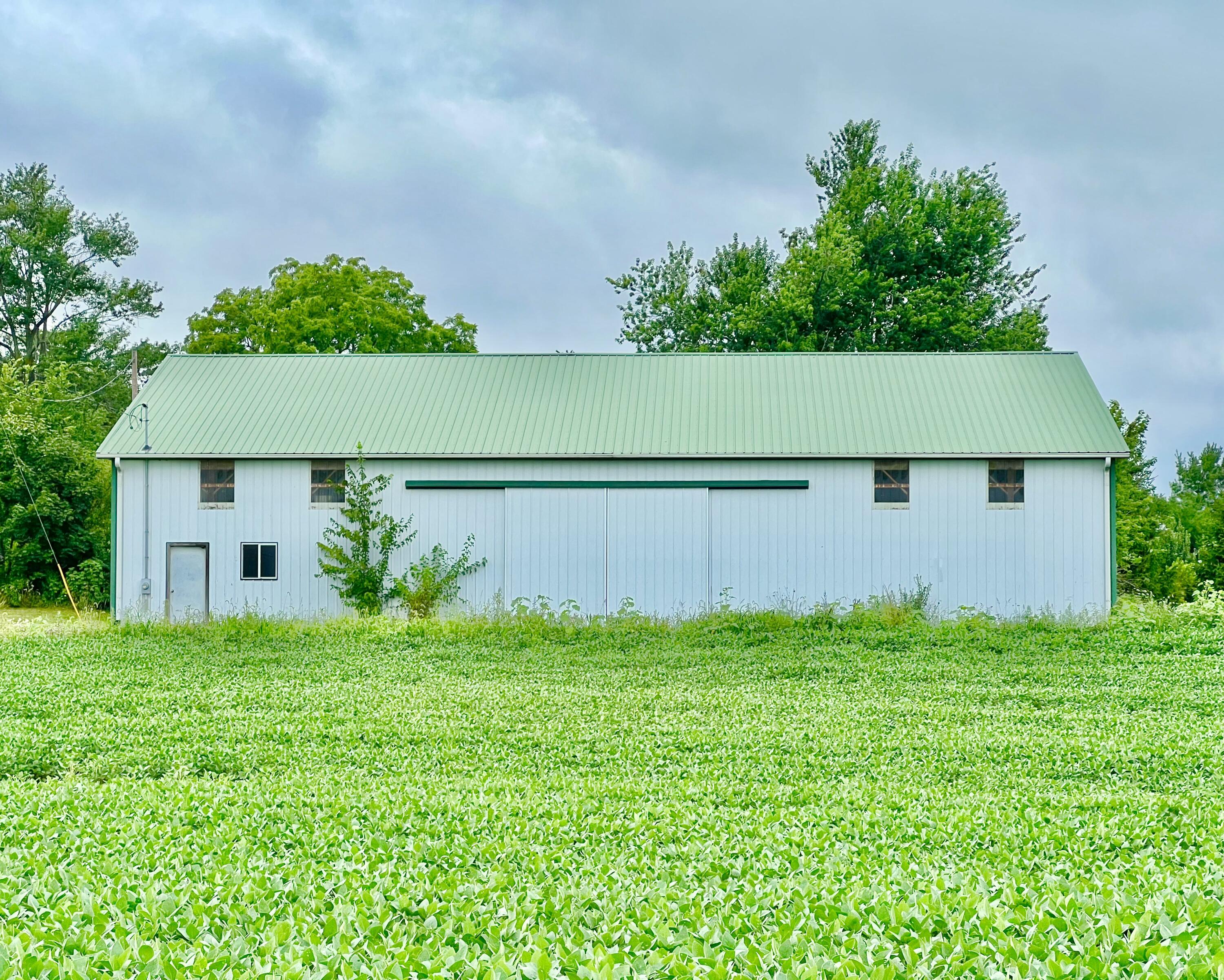 10800 South Road Wright Township MI 49288
