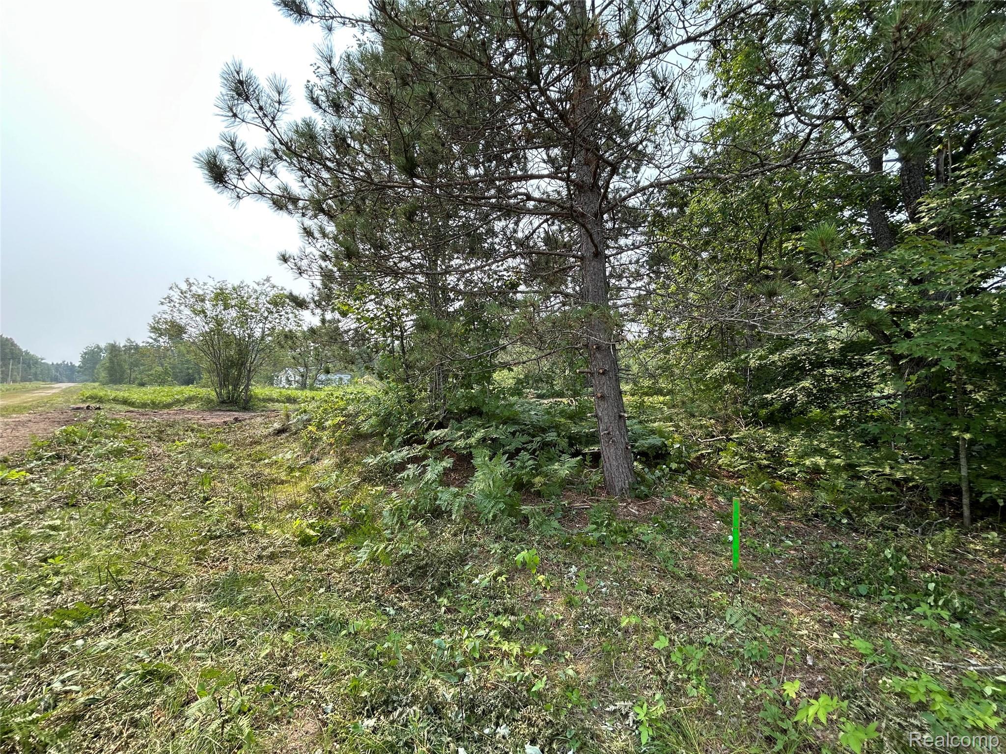6658 Brookfield Court Mancelona Township MI 49730