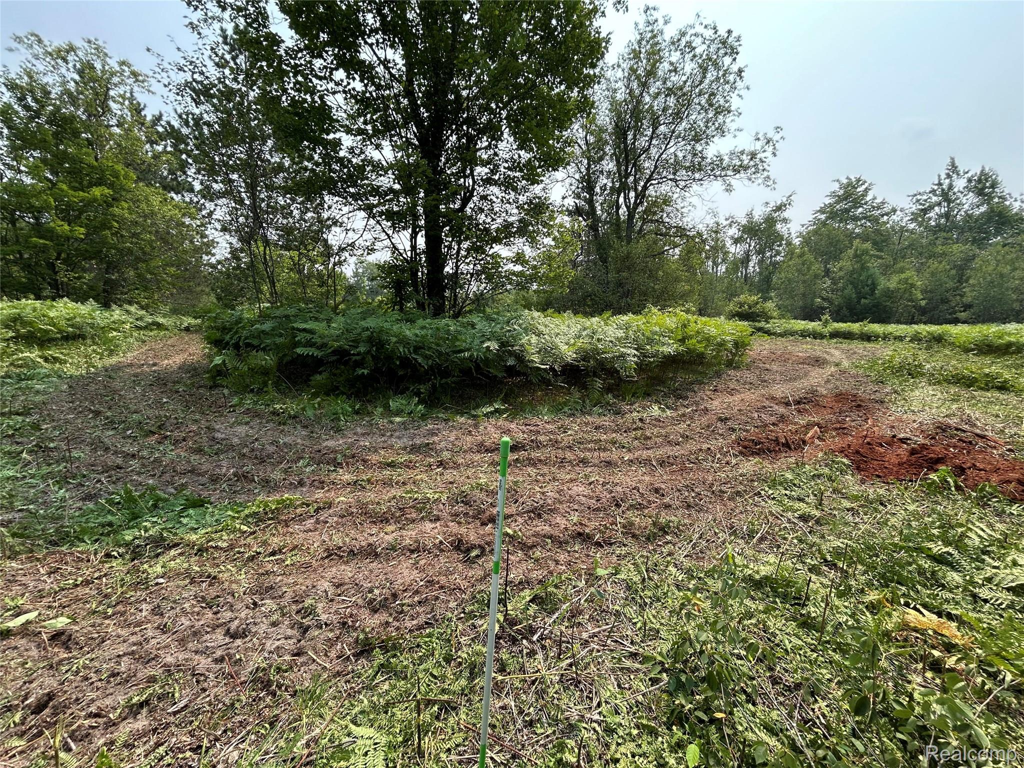6658 Brookfield Court Mancelona Township MI 49730