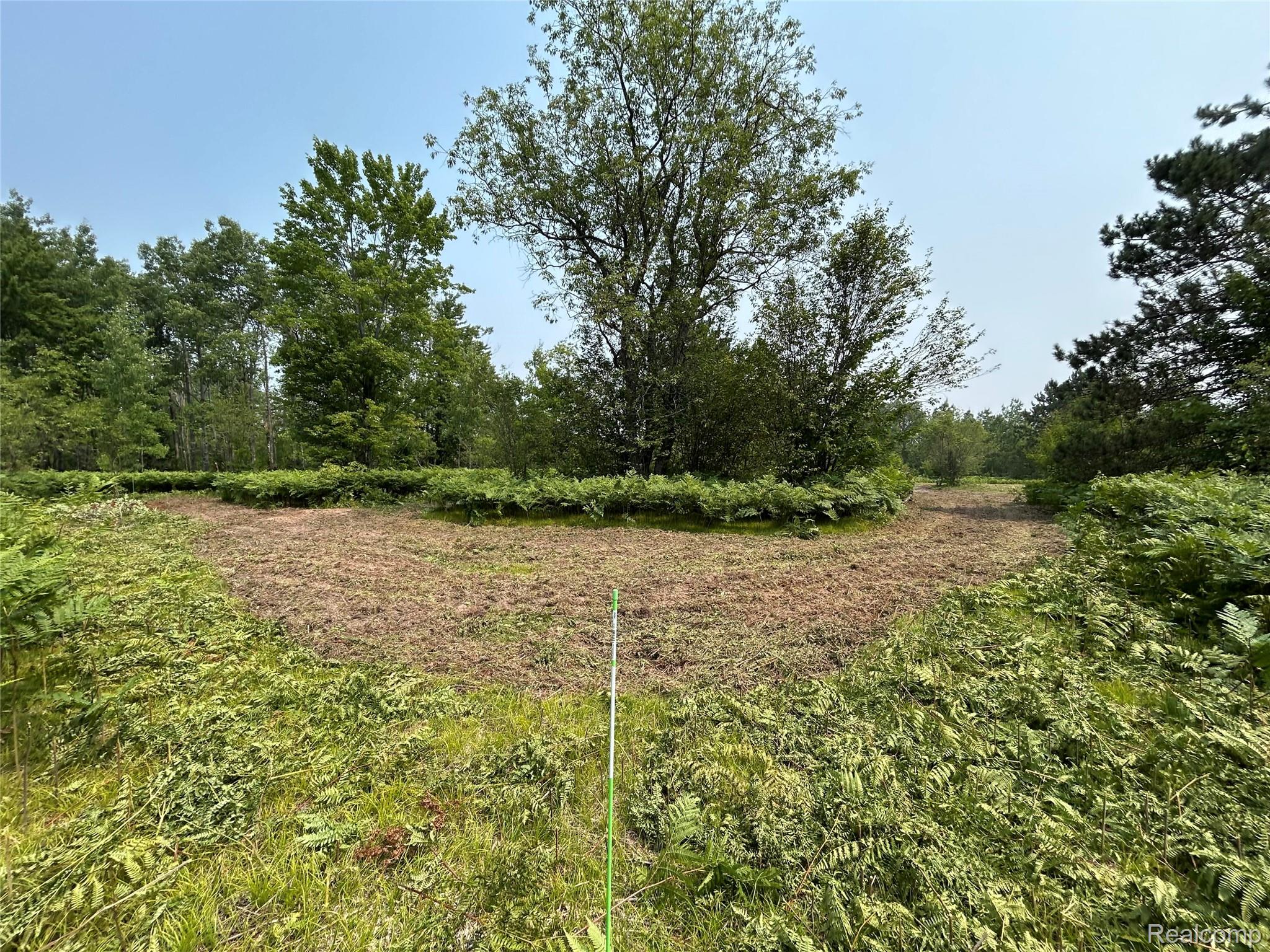 6658 Brookfield Court Mancelona Township MI 49730