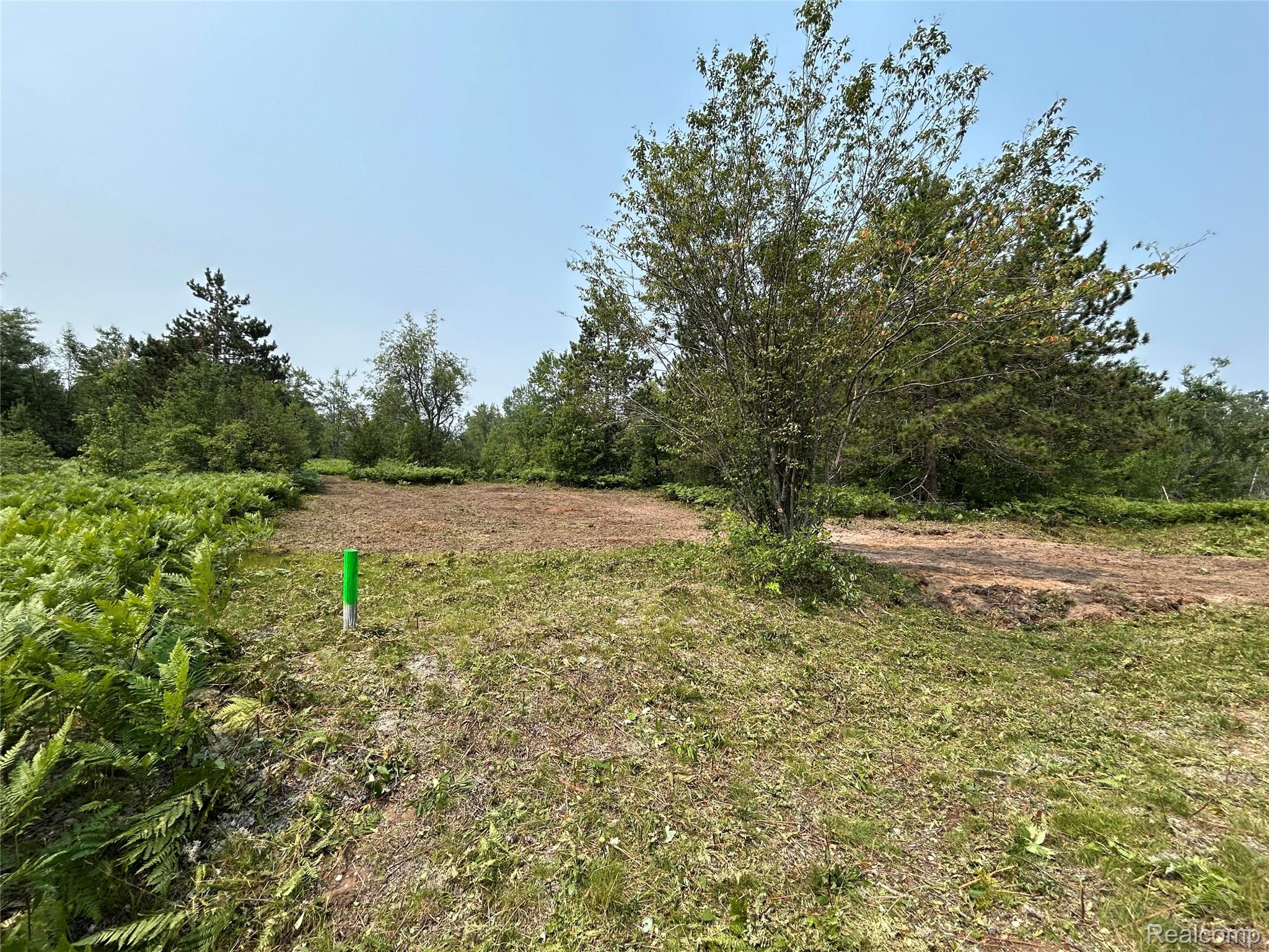6658 Brookfield Court Mancelona Township MI 49730