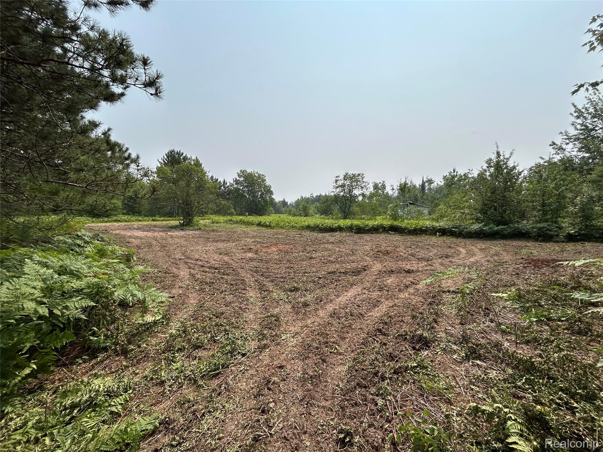 6658 Brookfield Court Mancelona Township MI 49730