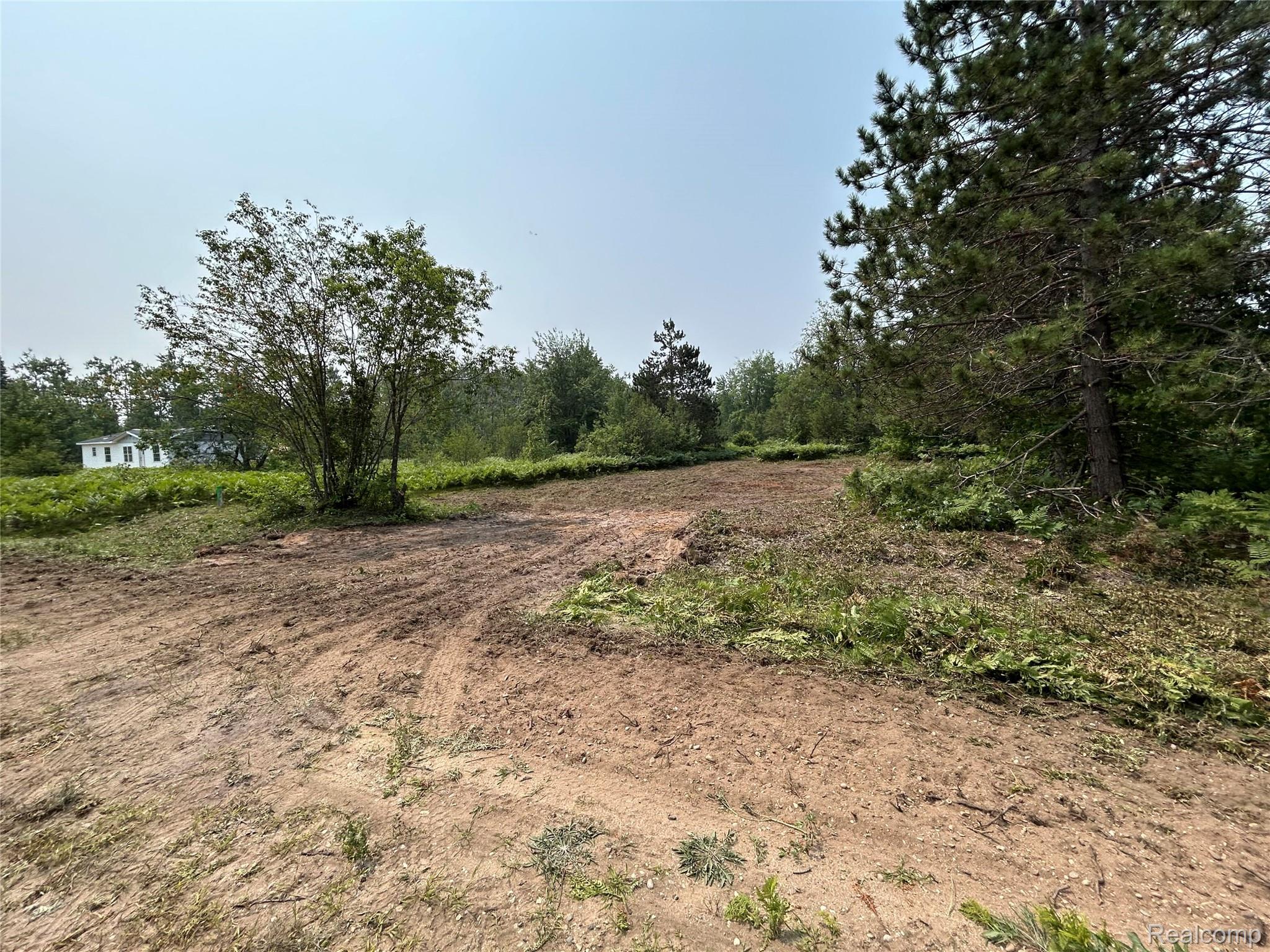 6658 Brookfield Court Mancelona Township MI 49730