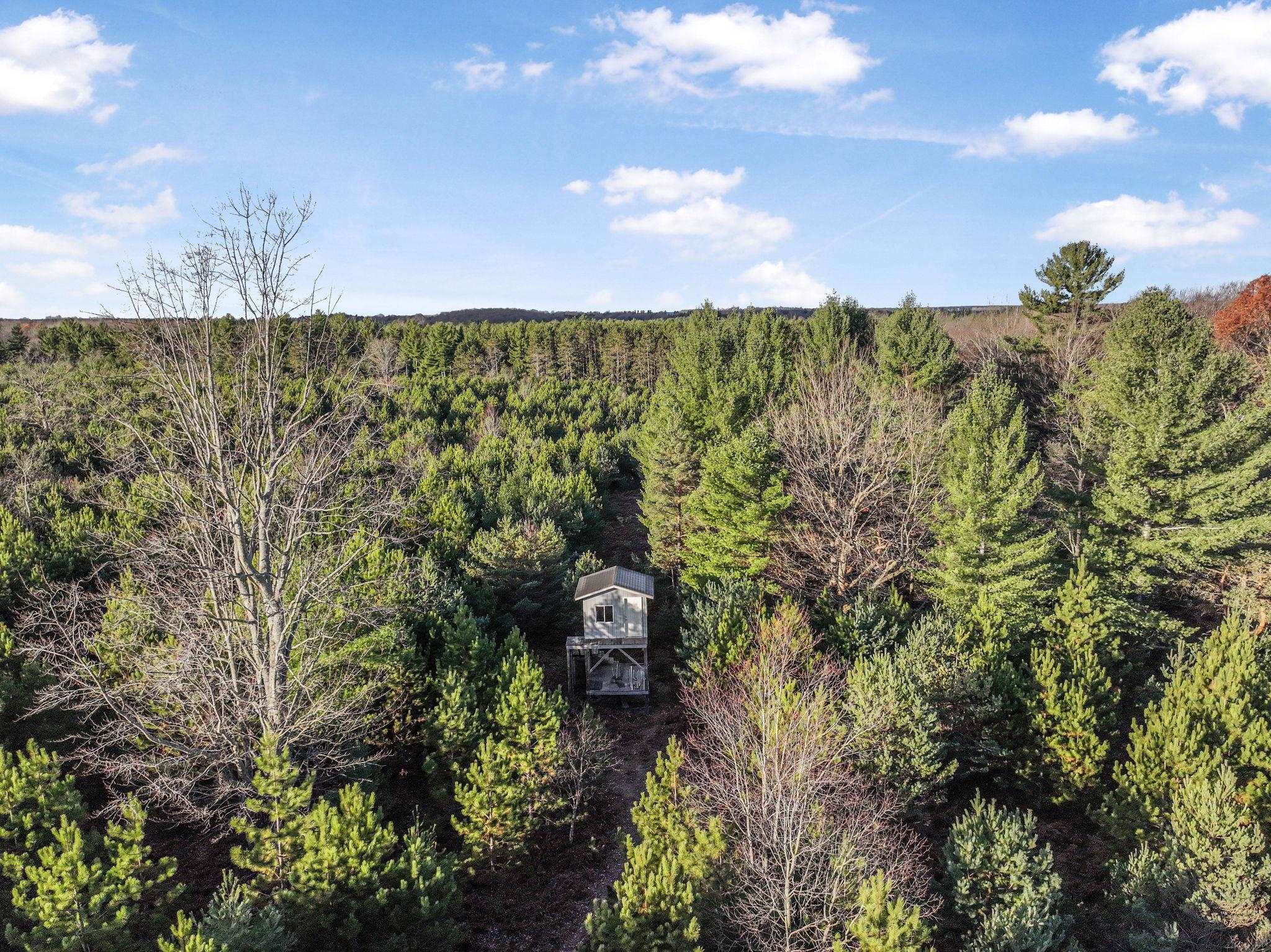 0 Vans Lane Fife Lake Township MI 49649