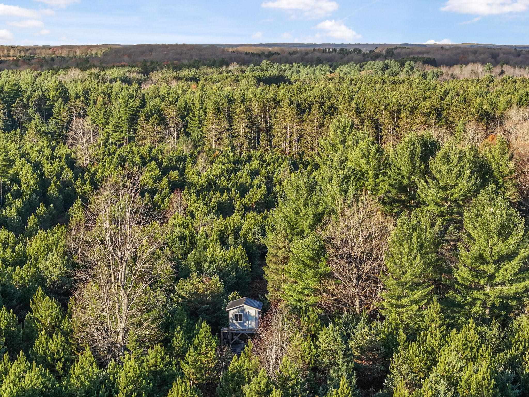 0 Vans Lane Fife Lake Township MI 49649