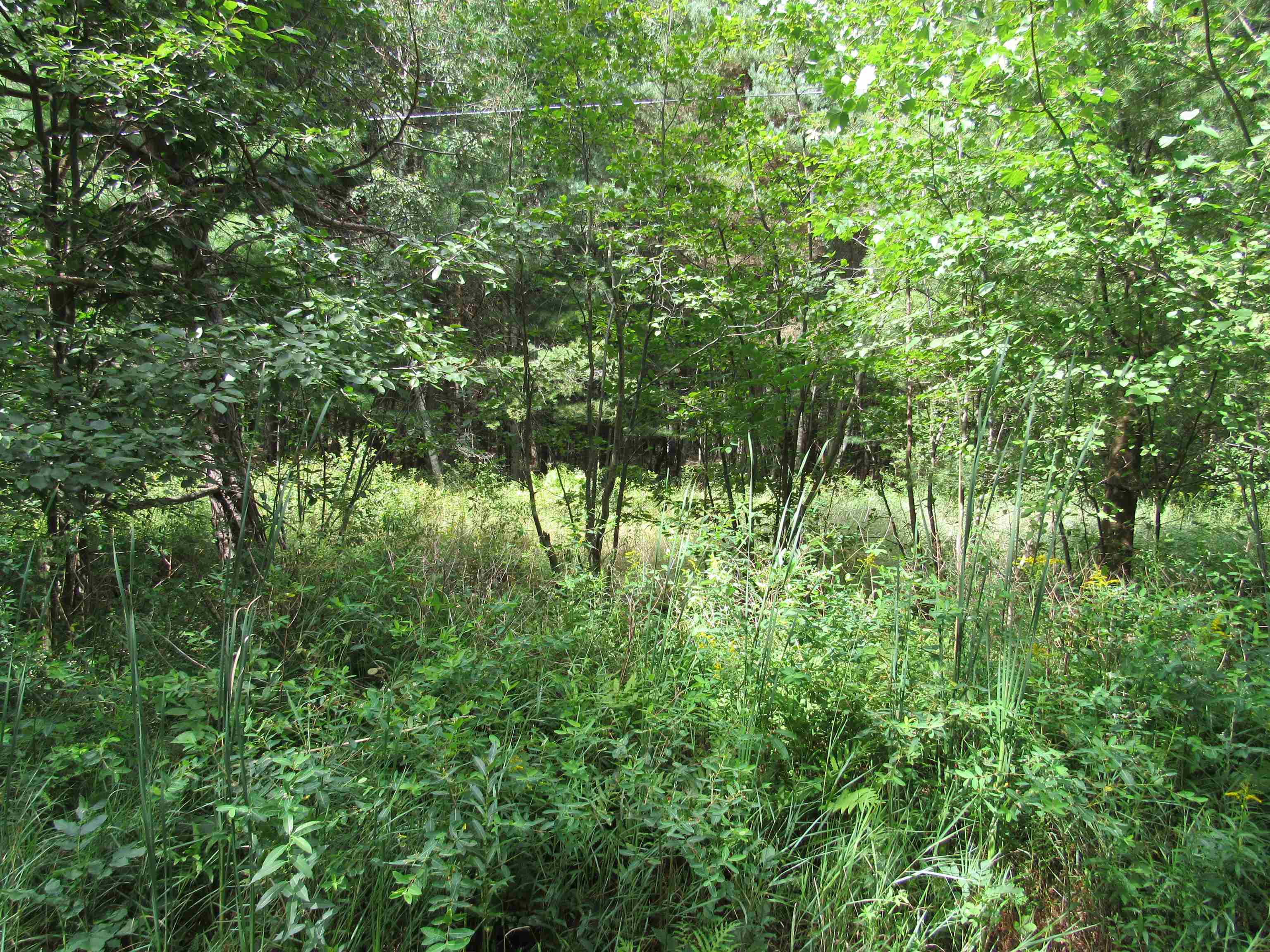00 Duby Road Alabaster Township MI 48763