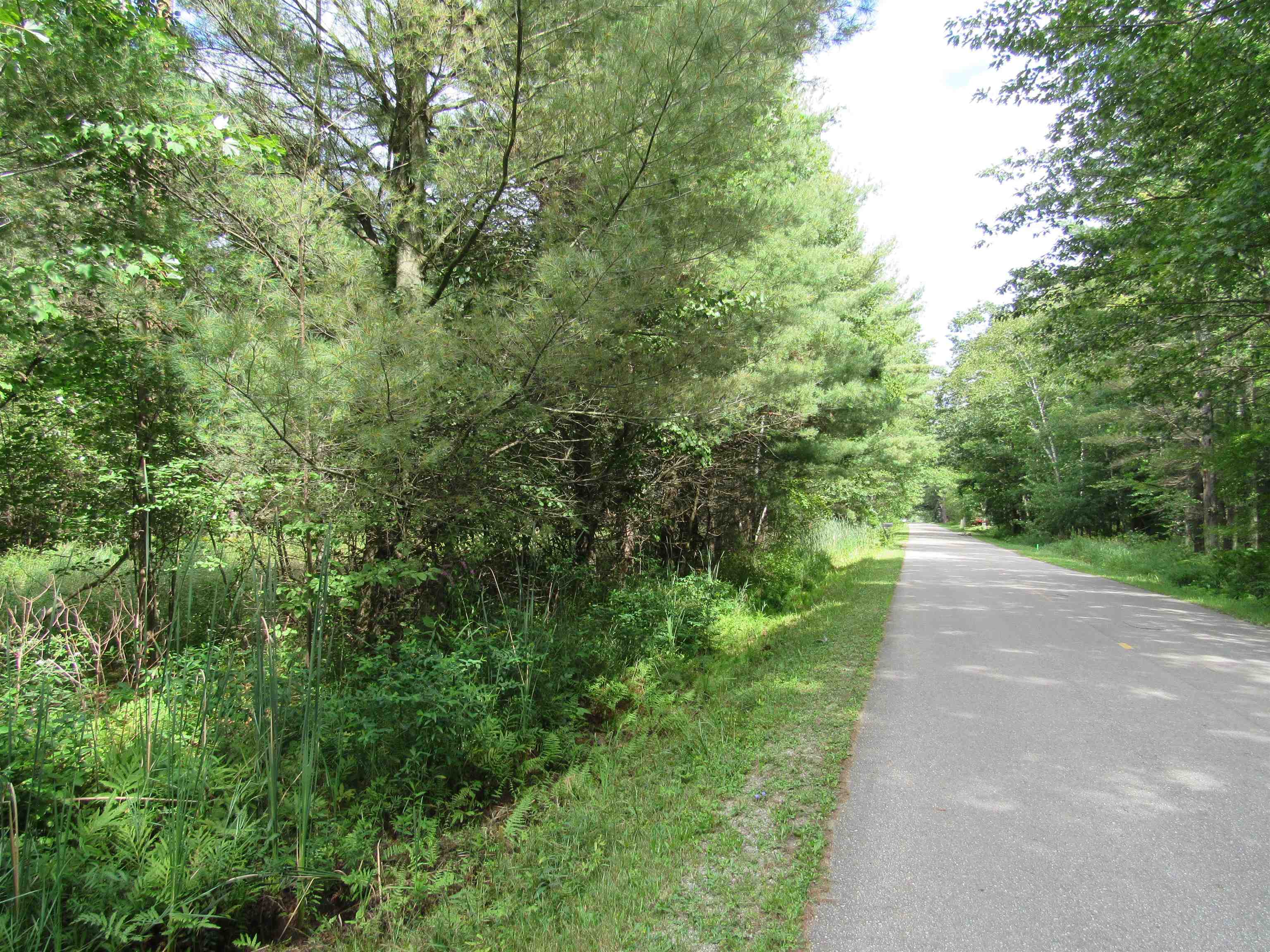 00 Duby Road Alabaster Township MI 48763