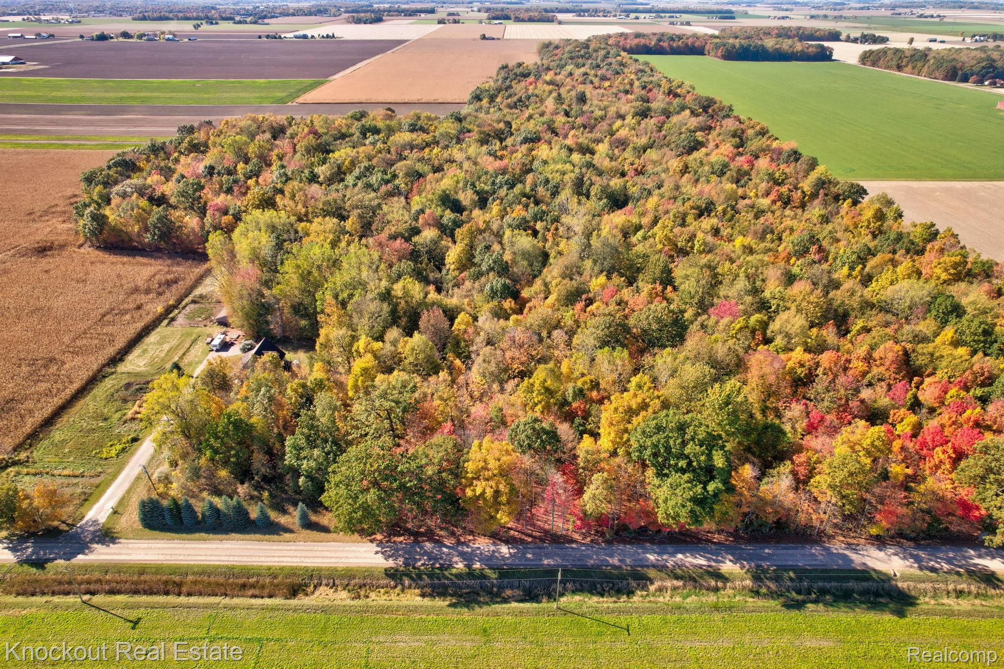 4000 S Reese Road Frankenmuth Township MI 48734