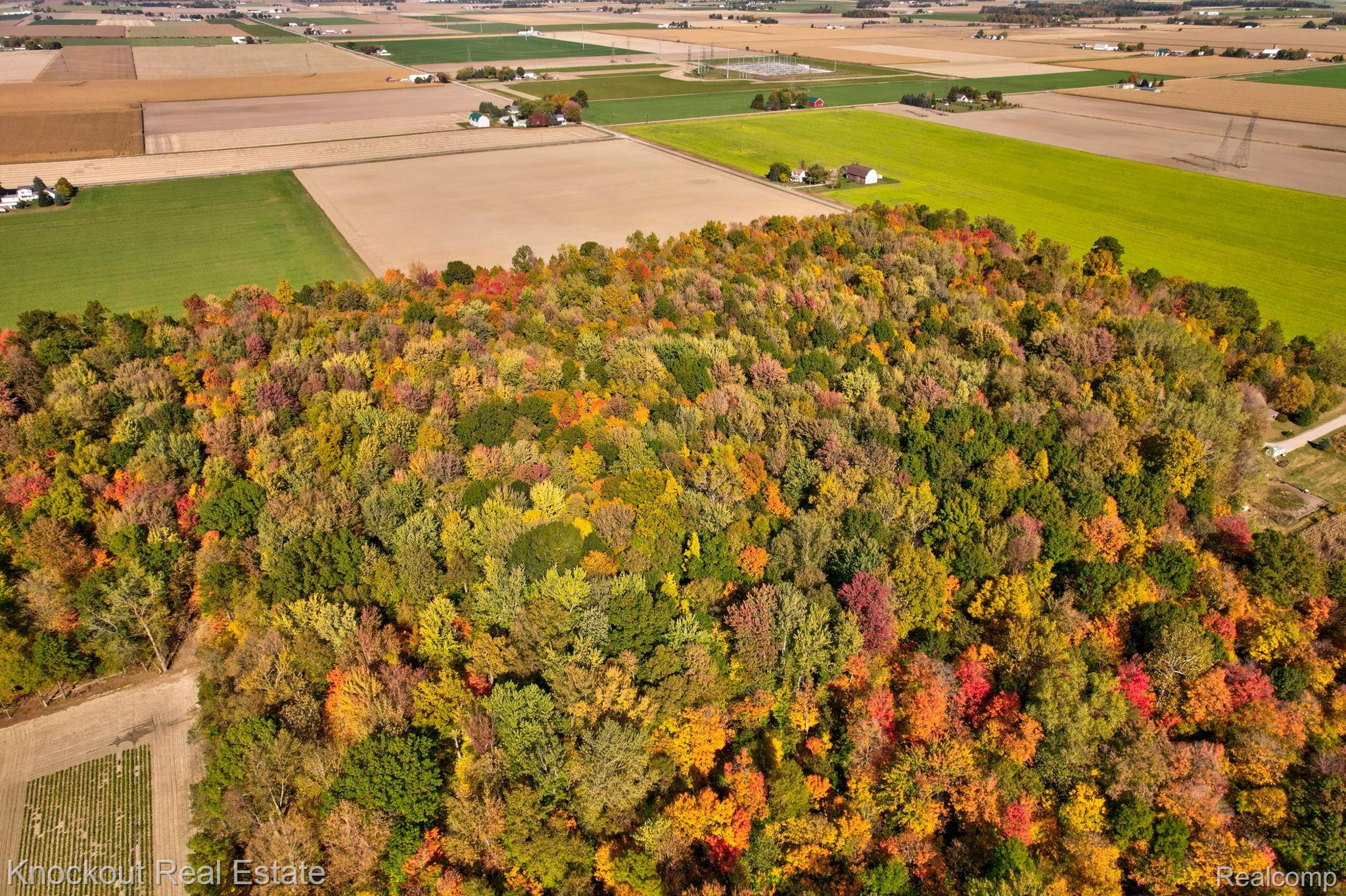 4000 S Reese Road Frankenmuth Township MI 48734