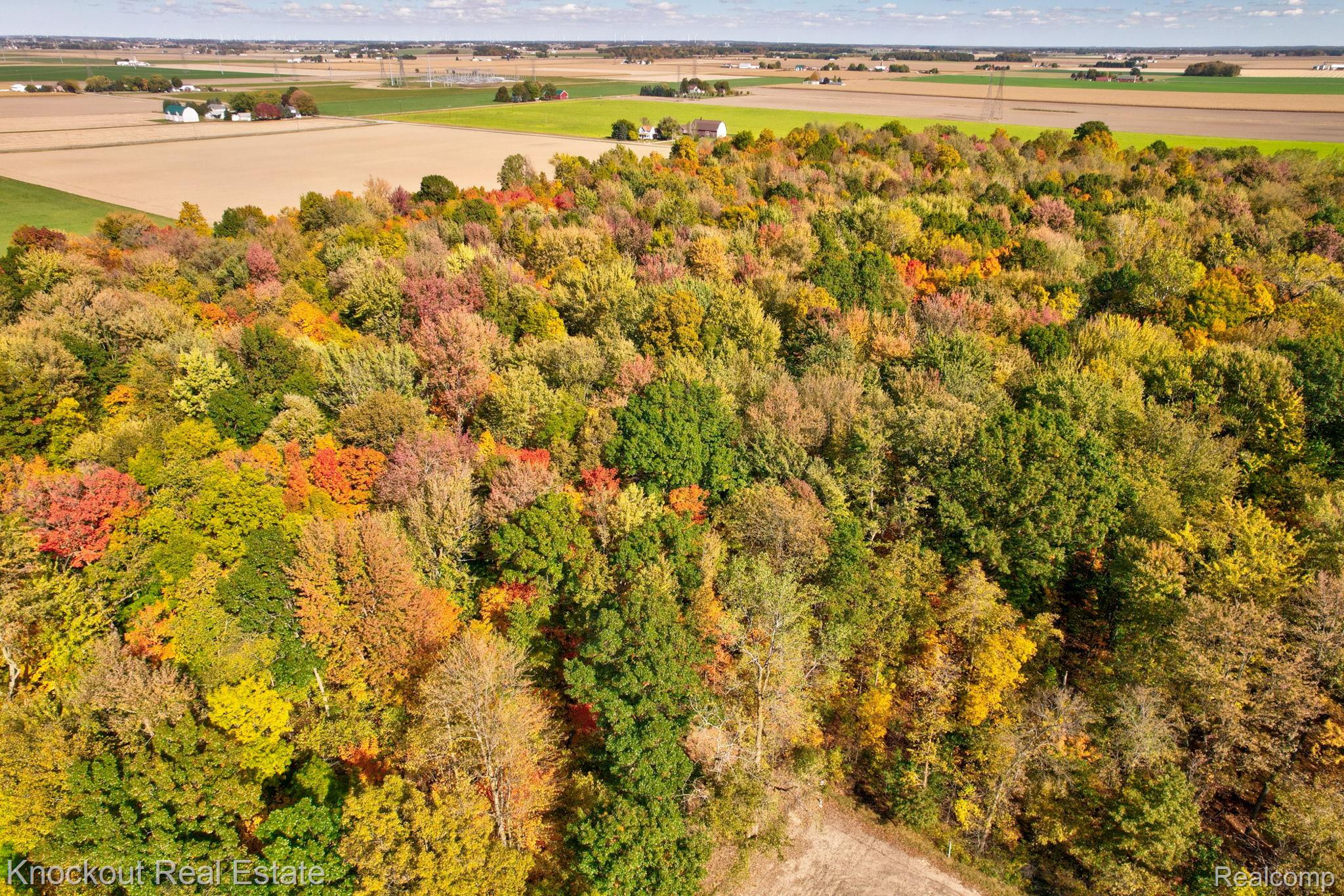 4000 S Reese Road Frankenmuth Township MI 48734