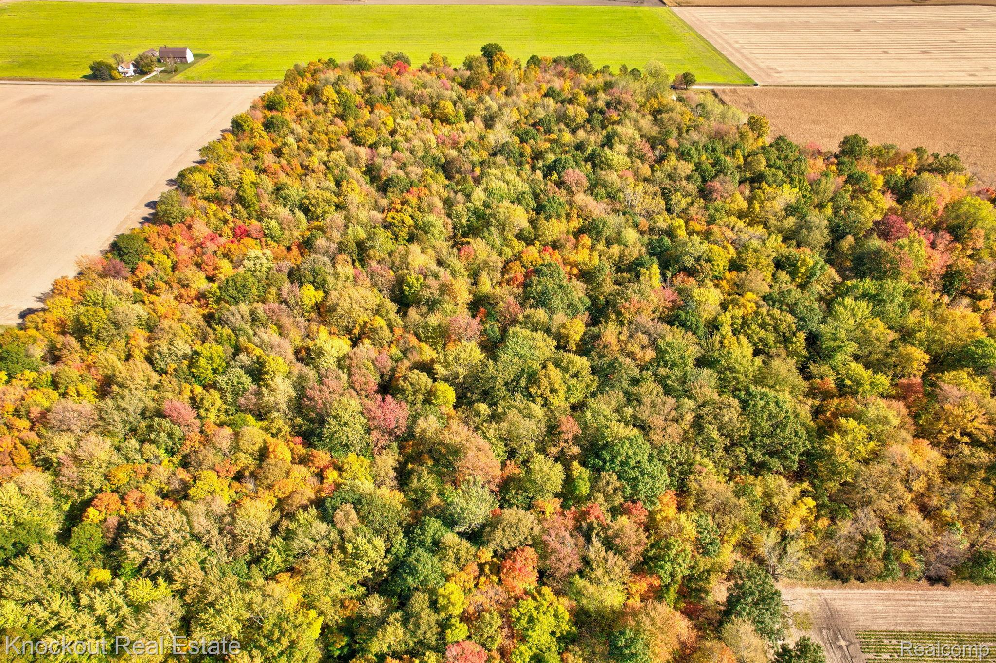 4000 S Reese Road Frankenmuth Township MI 48734