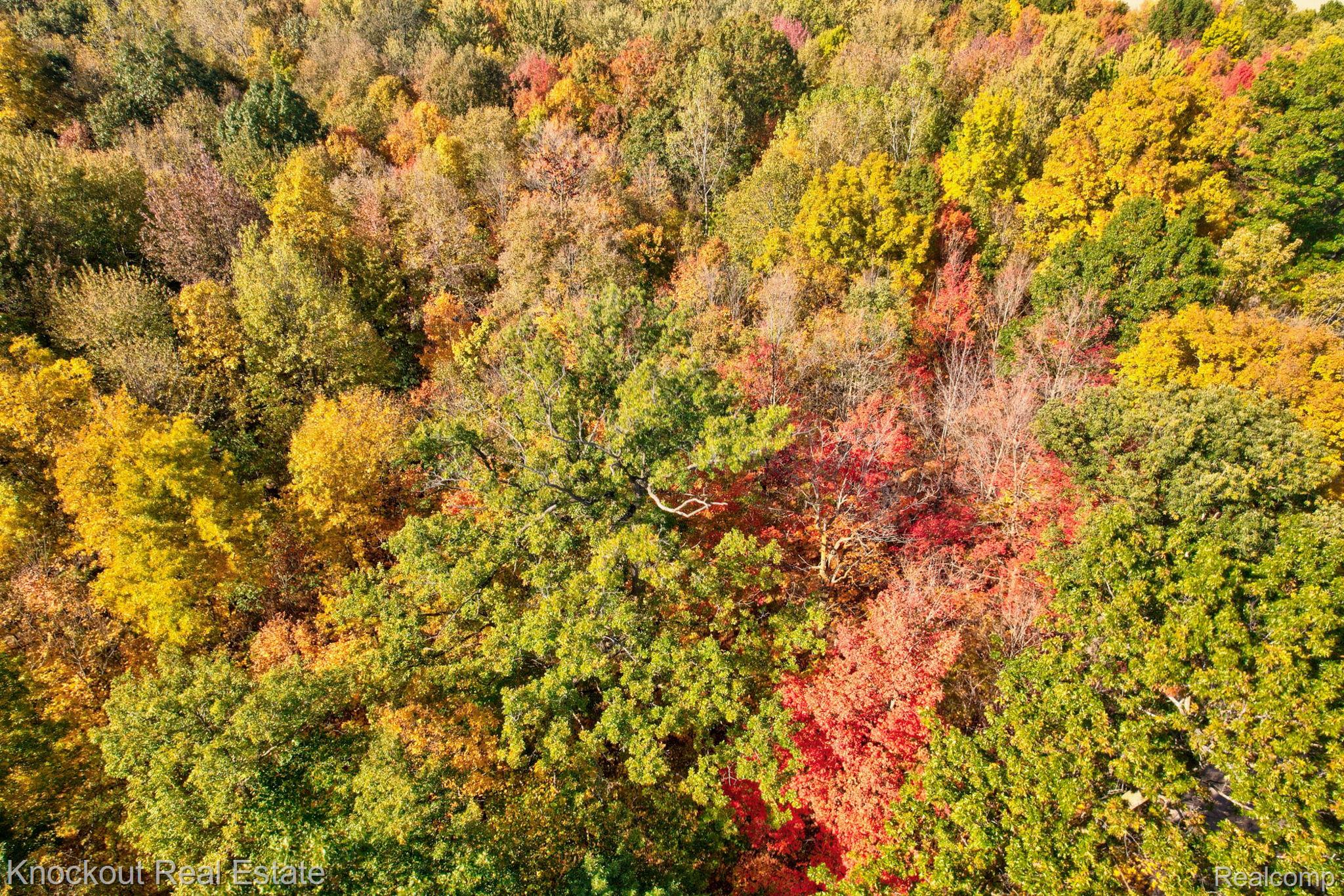 4000 S Reese Road Frankenmuth Township MI 48734