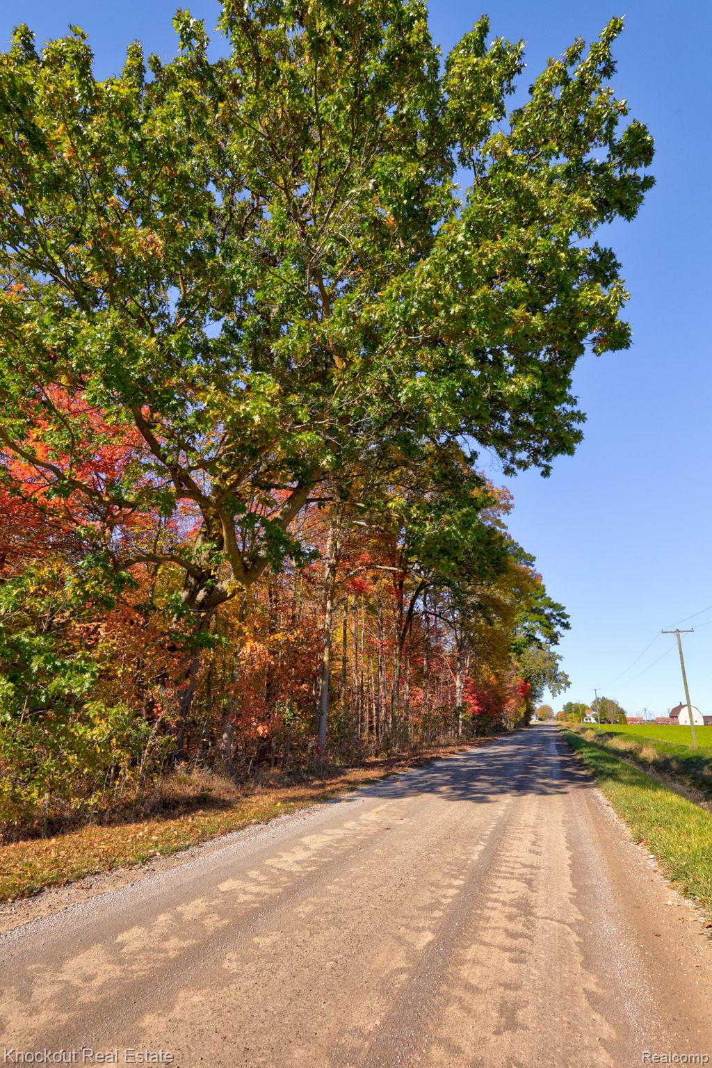 4000 S Reese Road Frankenmuth Township MI 48734