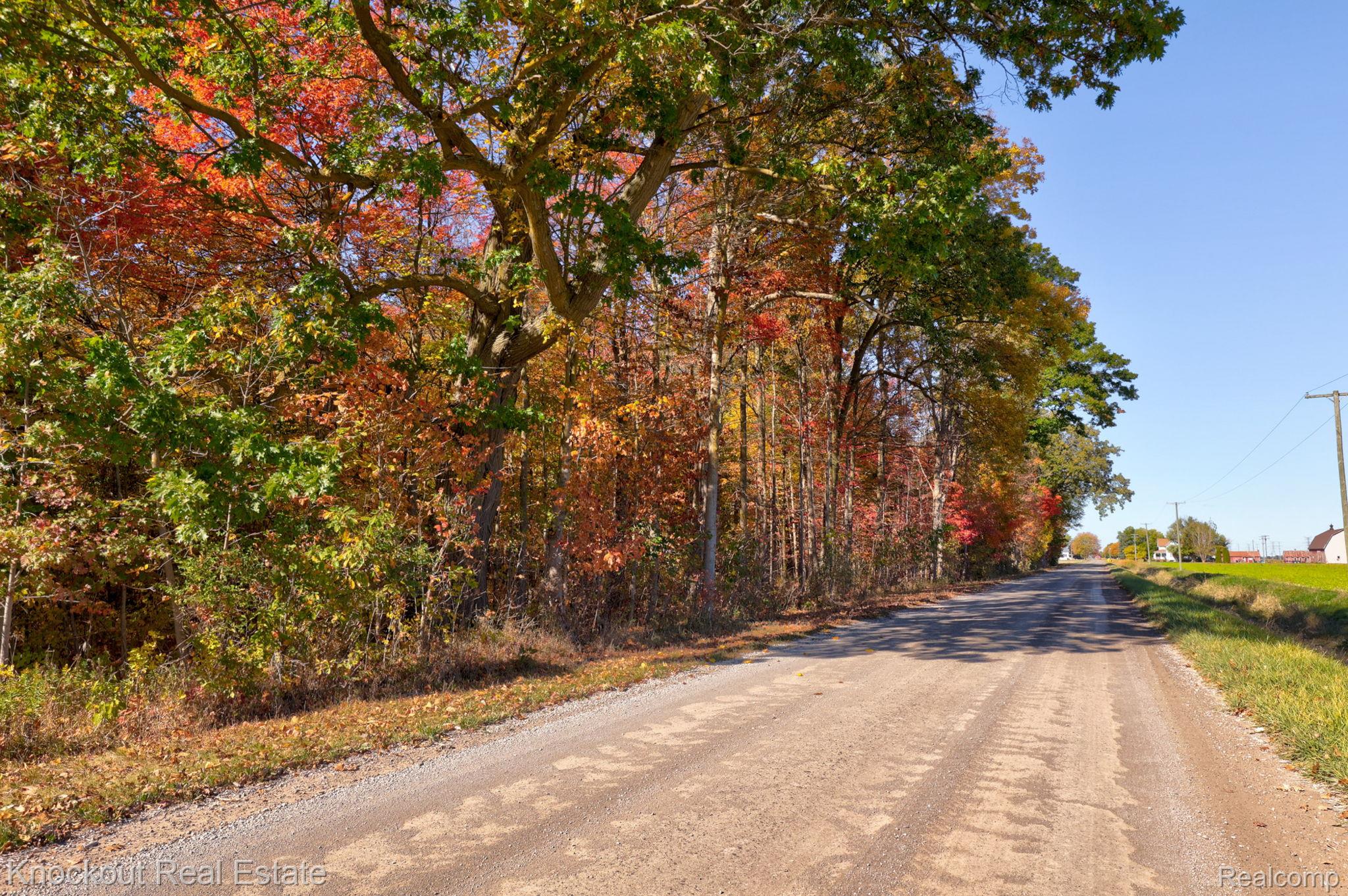 4000 S Reese Road Frankenmuth Township MI 48734