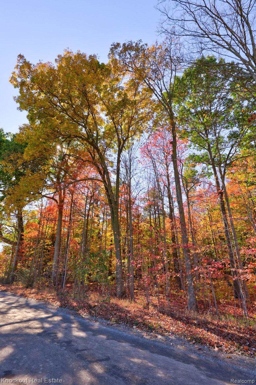 4000 S Reese Road Frankenmuth Township MI 48734