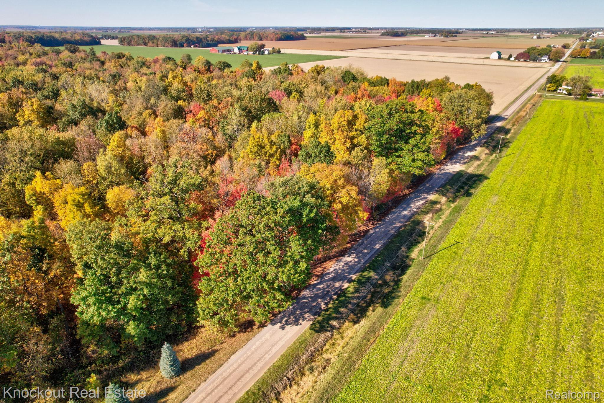 4000 S Reese Road Frankenmuth Township MI 48734