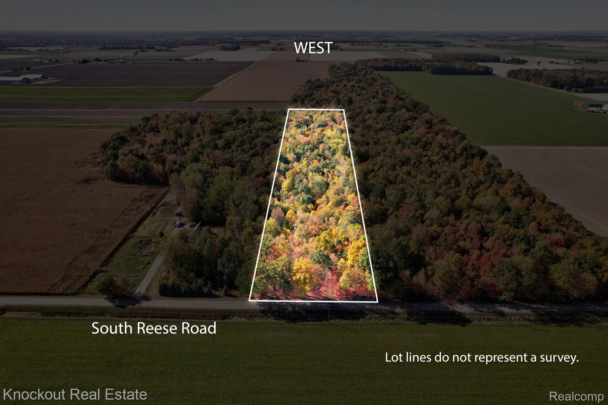 4000 S Reese Road Frankenmuth Township MI 48734