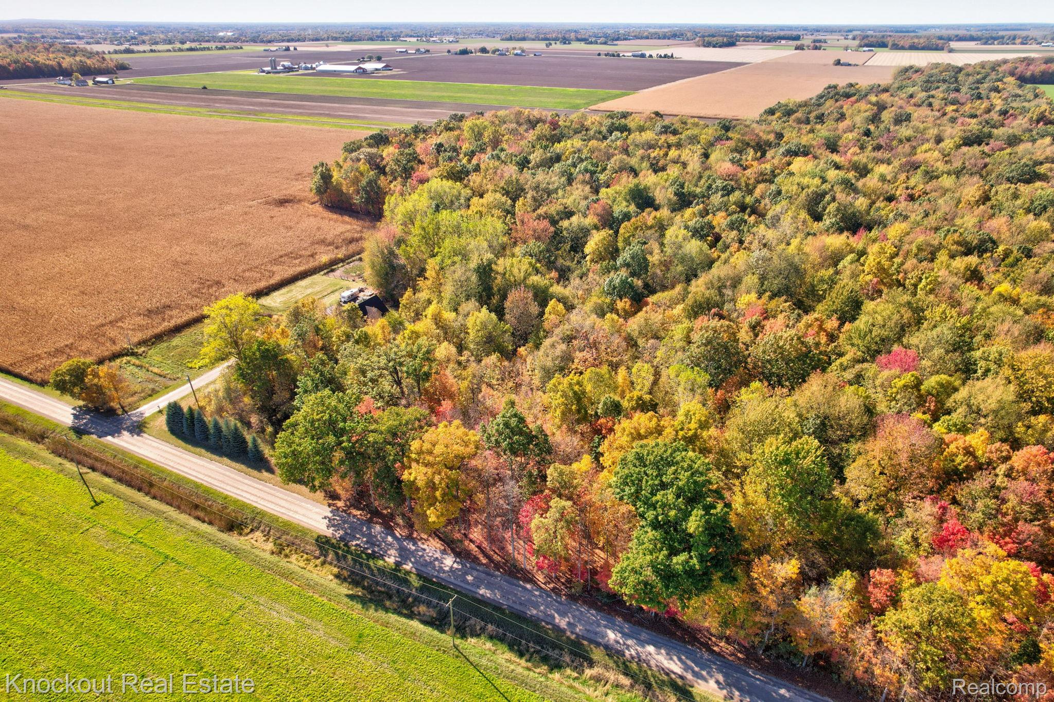 4000 S Reese Road Frankenmuth Township MI 48734
