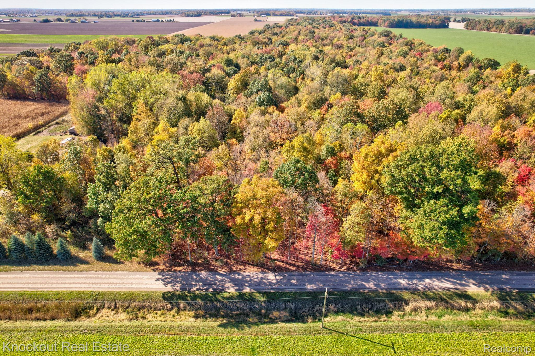 4000 S Reese Road Frankenmuth Township MI 48734