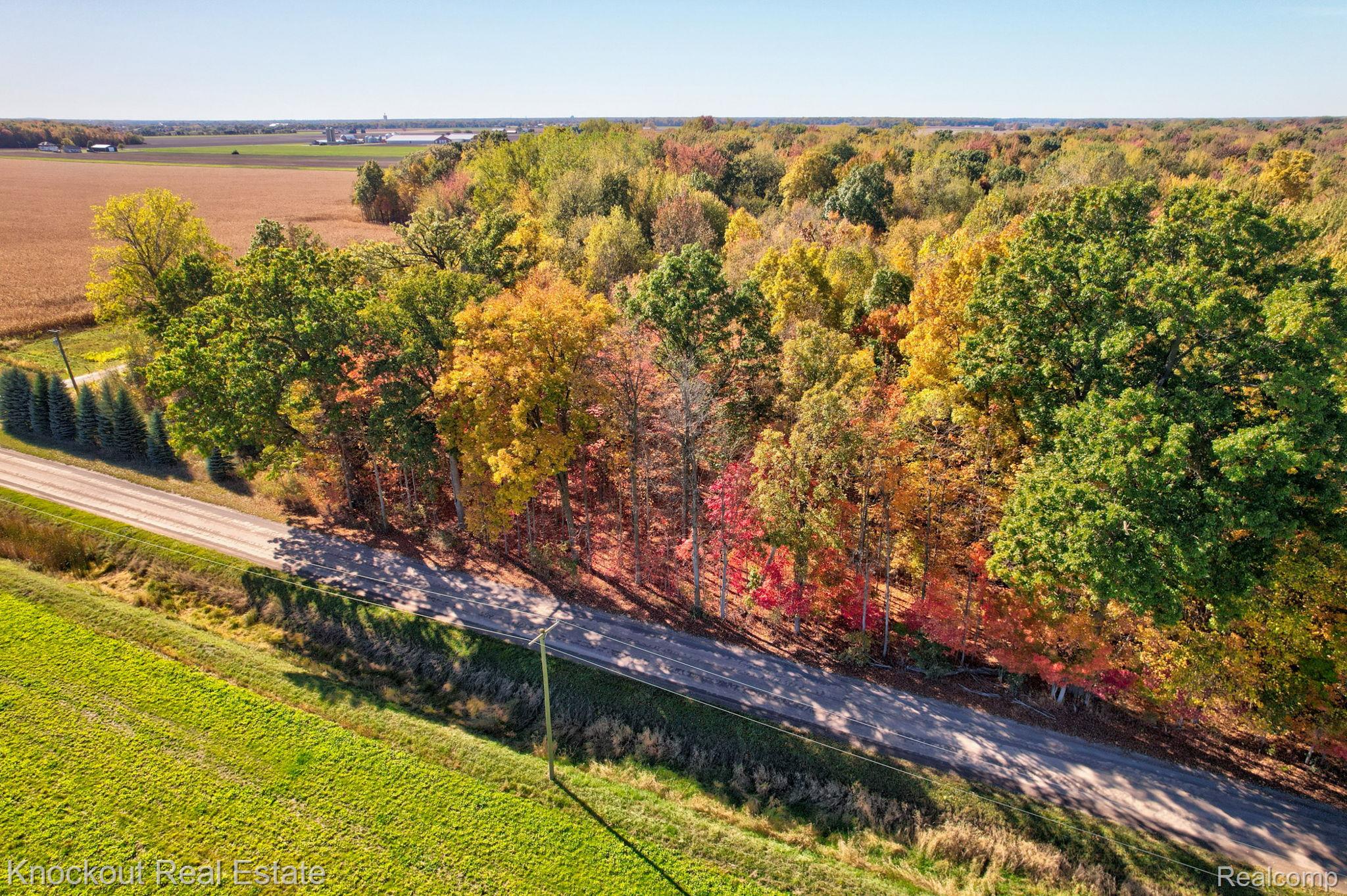 4000 S Reese Road Frankenmuth Township MI 48734